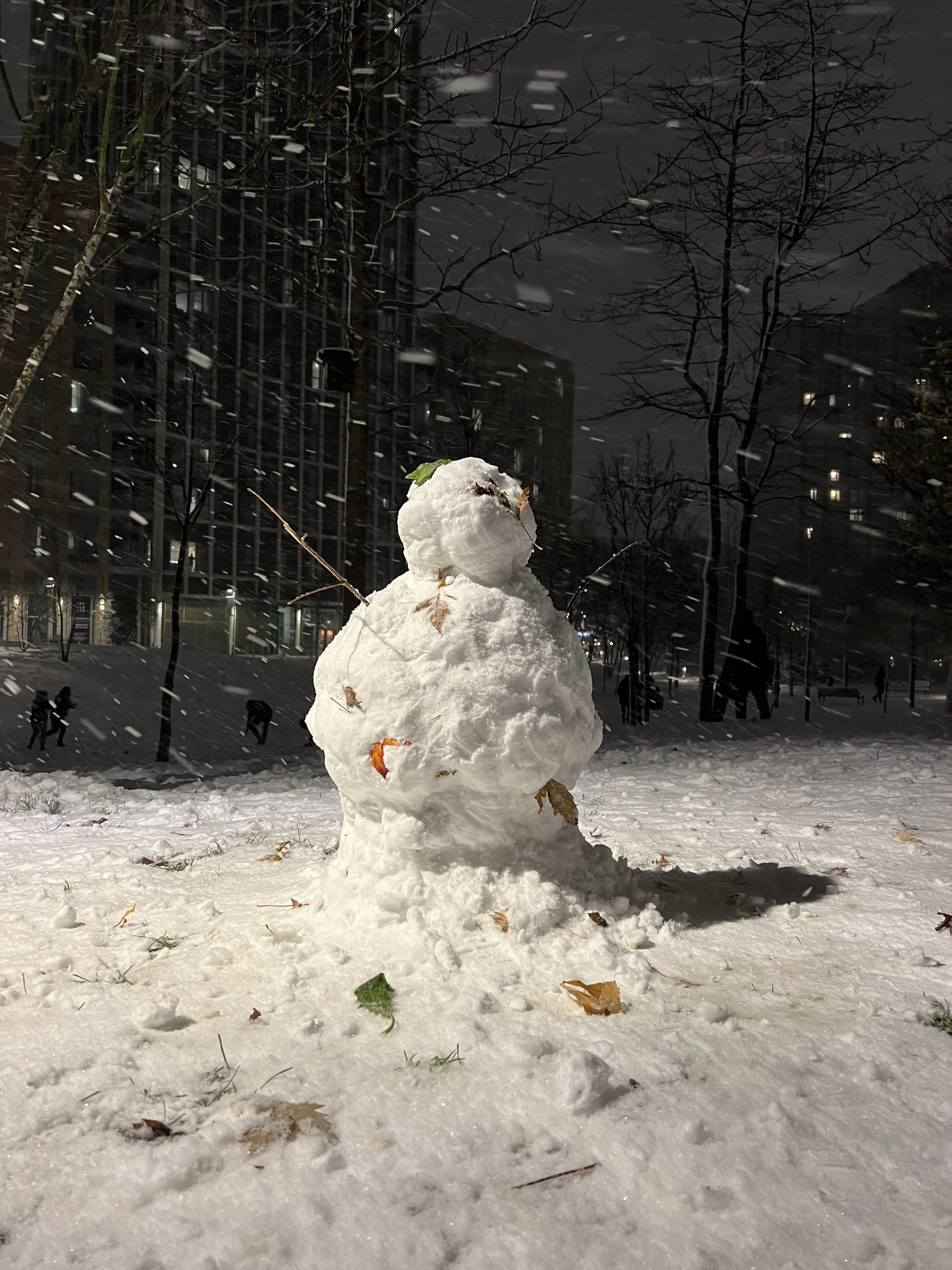 A snowman built in a snowy park during nighttime, with bare trees and residential buildings in the background, and snow falling.