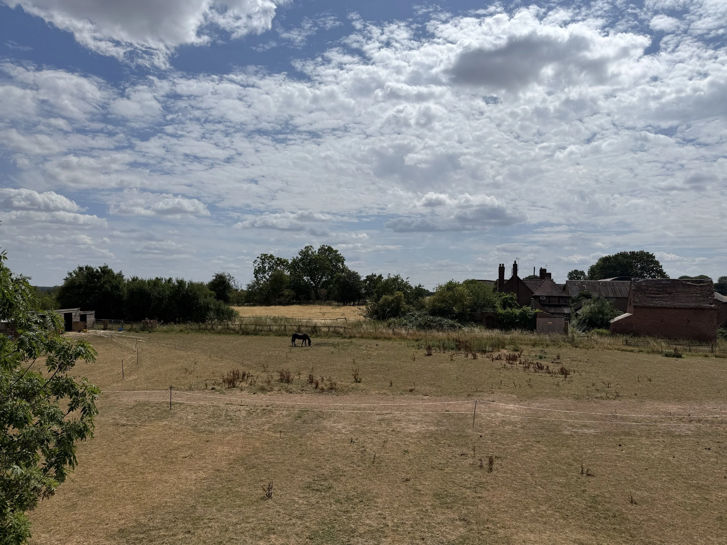 A rural landscape showing a wide open field with some dry grass and plants, a few scattered trees, a horse grazing, and residential houses with rooftops and chimneys under a partly cloudy sky.