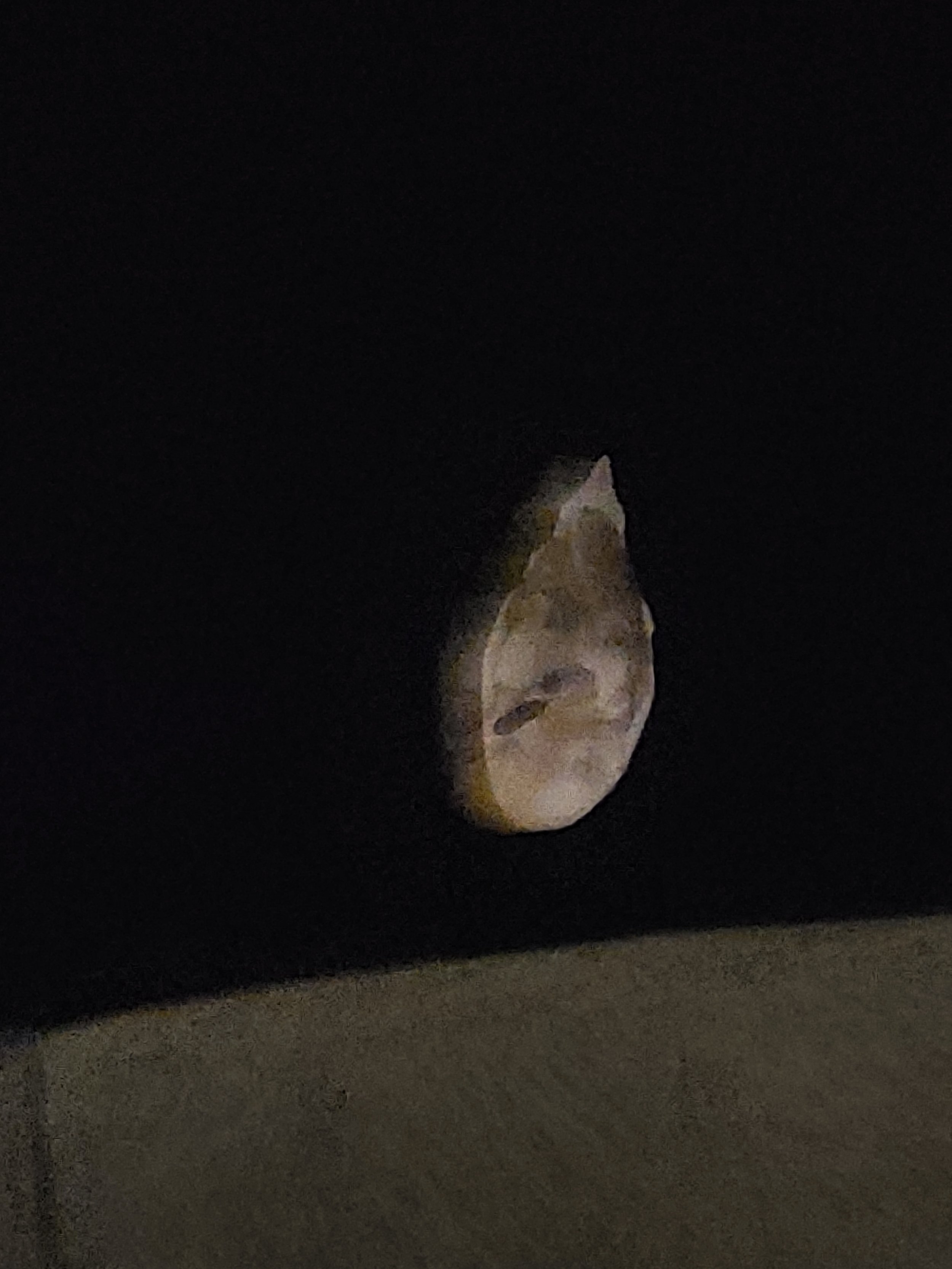 A street sculpture of a human face, carved from light-colored stone, illuminated at night against a dark background.