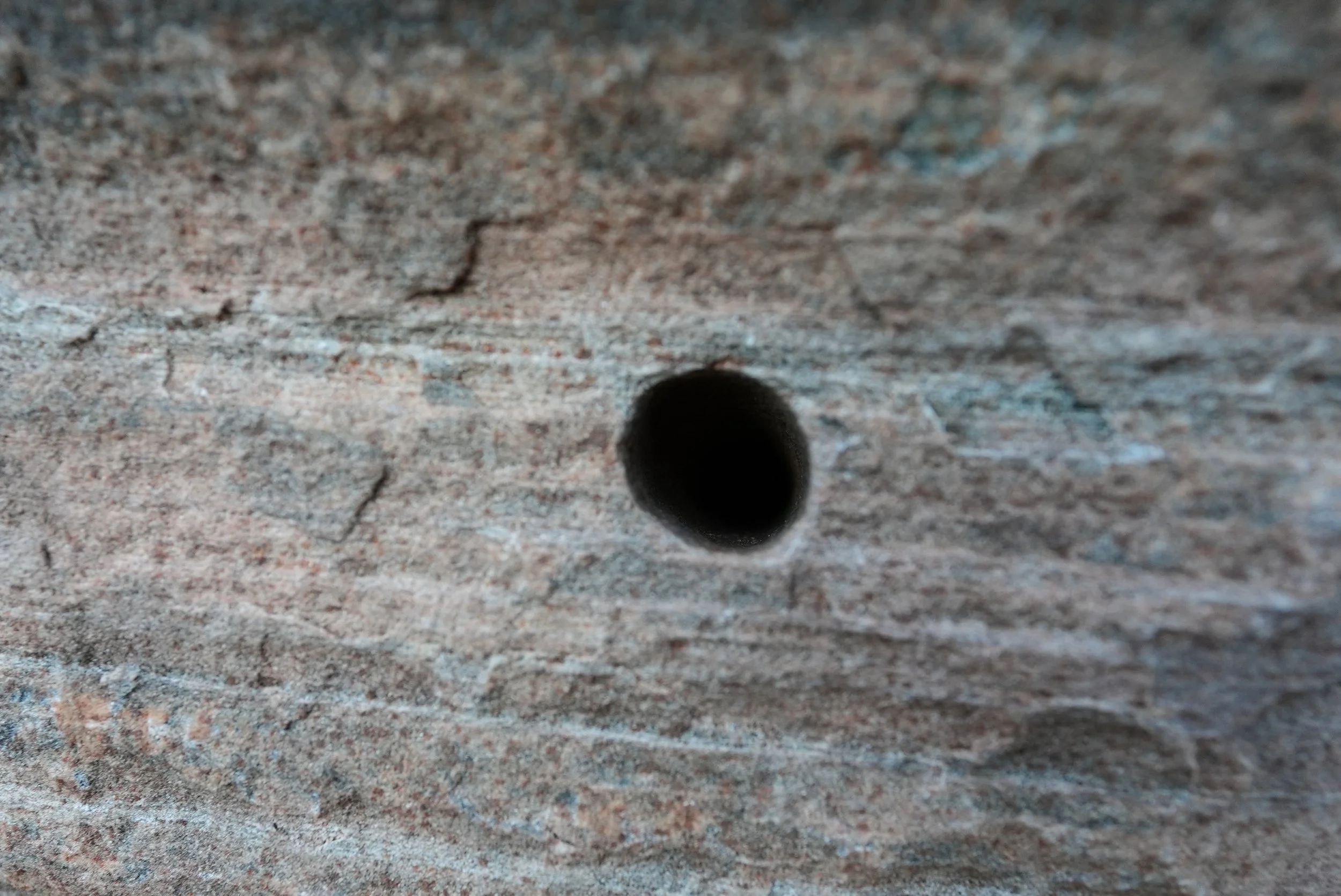 Close-up of a small round hole in a rough, textured wooden surface.