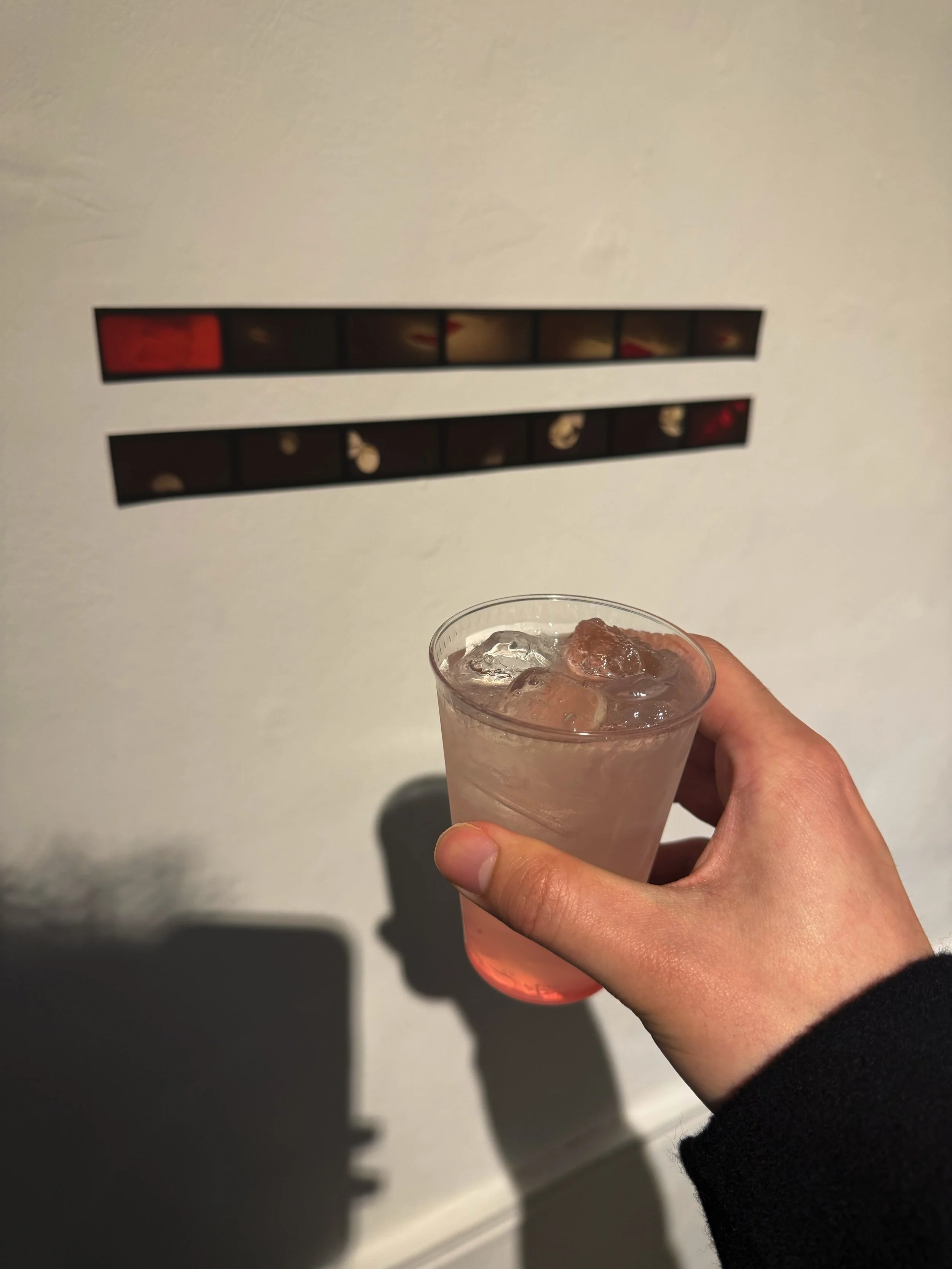 Person holding a glass of pink cocktail with ice in front of a white wall with two black rectangular objects with red and beige details.