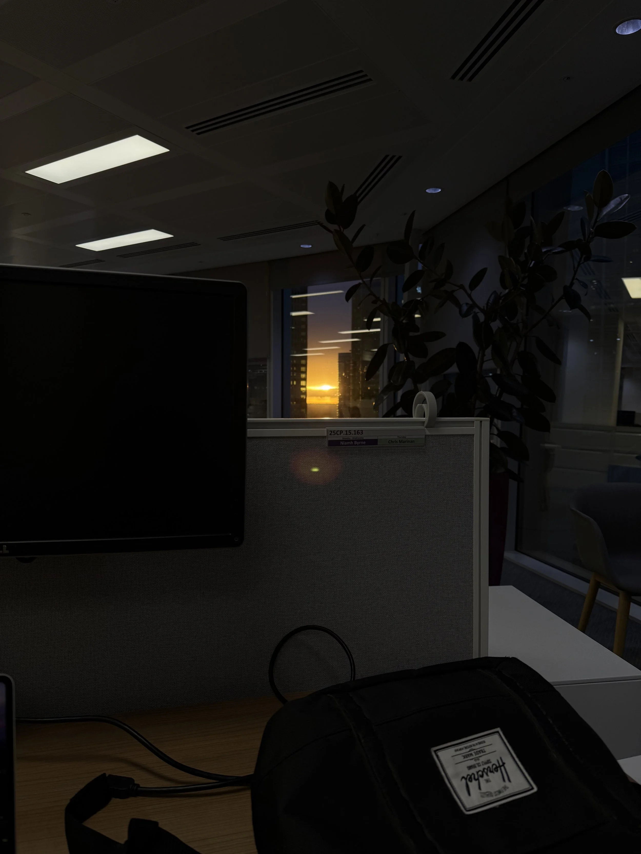 Office workspace with a computer monitor, cell phone, and plant near a window showing a sunset cityscape.