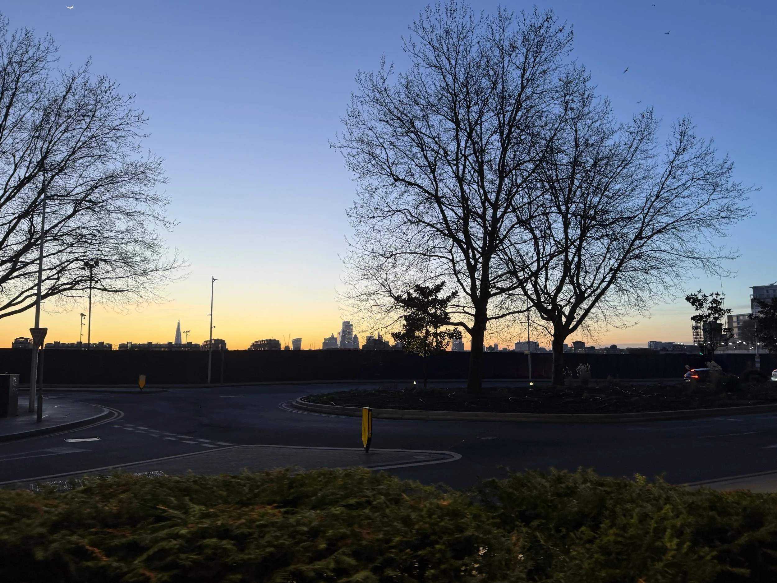 Cityscape during sunset with bare trees in the foreground, a clear blue sky, and a skyline with tall buildings in the distance.