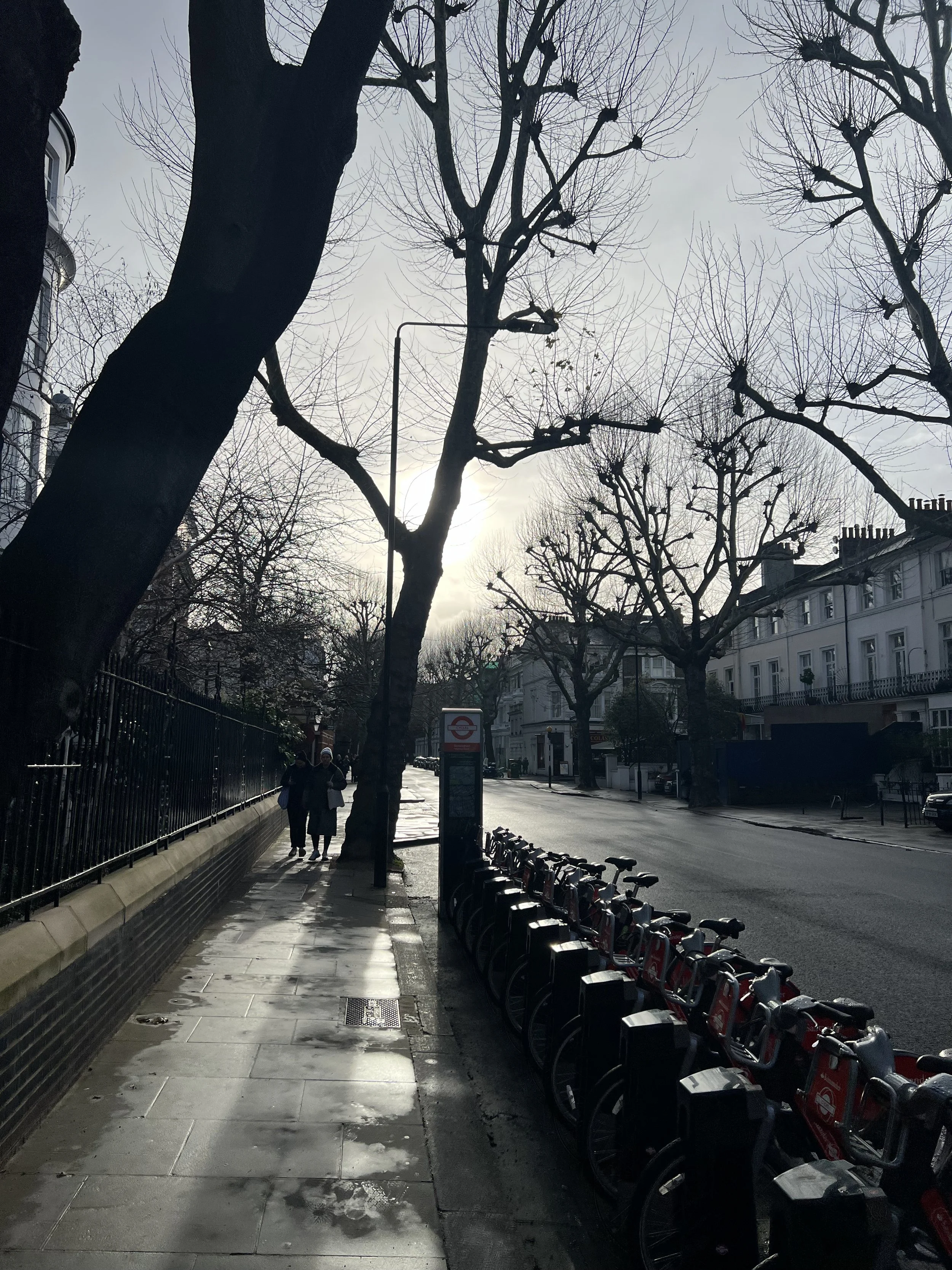 A city street in winter with leafless trees, a sidewalk, and a row of rental bikes.