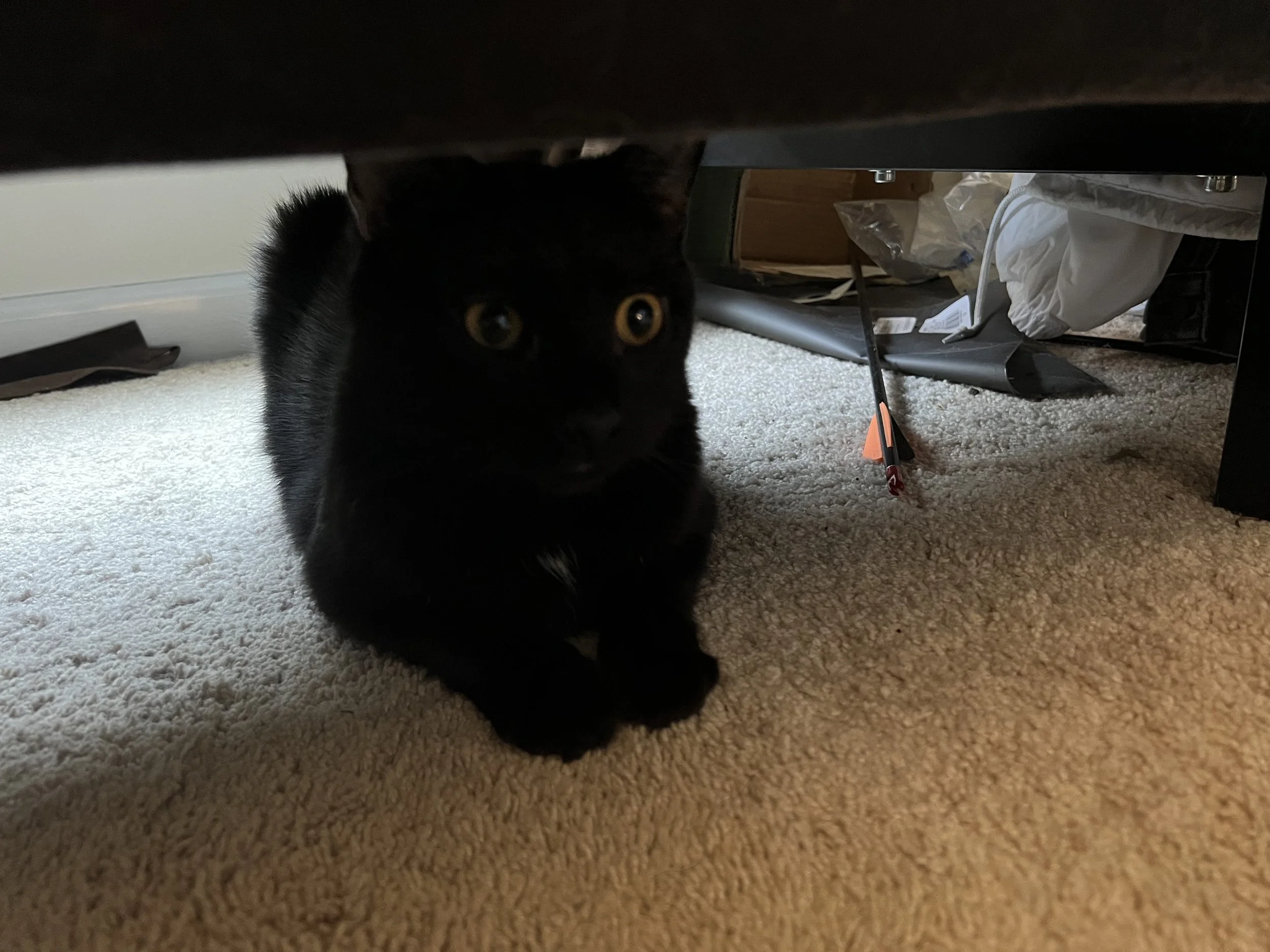 A black cat with yellow eyes partially hidden under a piece of furniture in a room with carpeted floor and cluttered background.