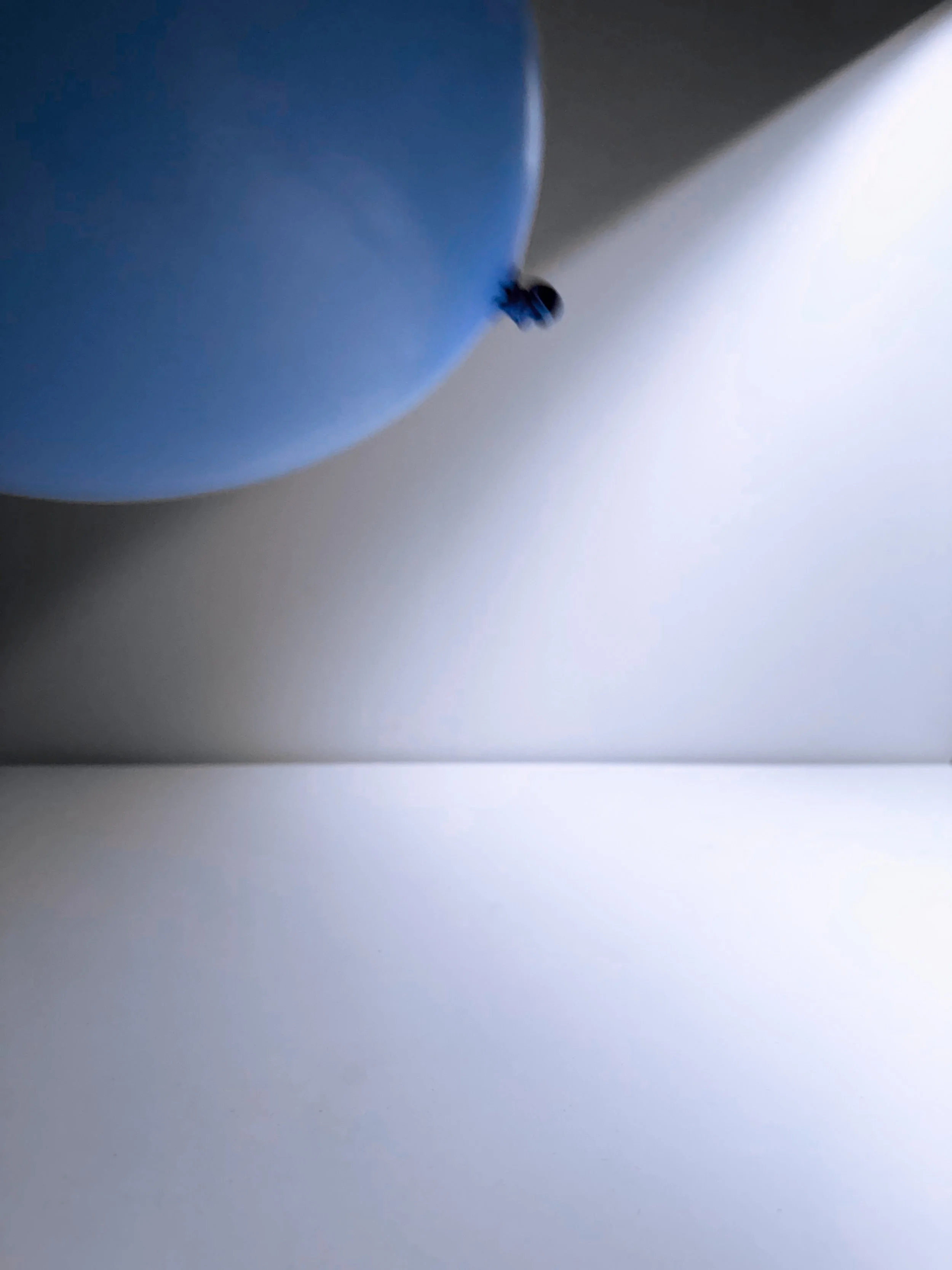 Close-up image showing a small black ant on a white surface, with a blue object and a shadow in the background.