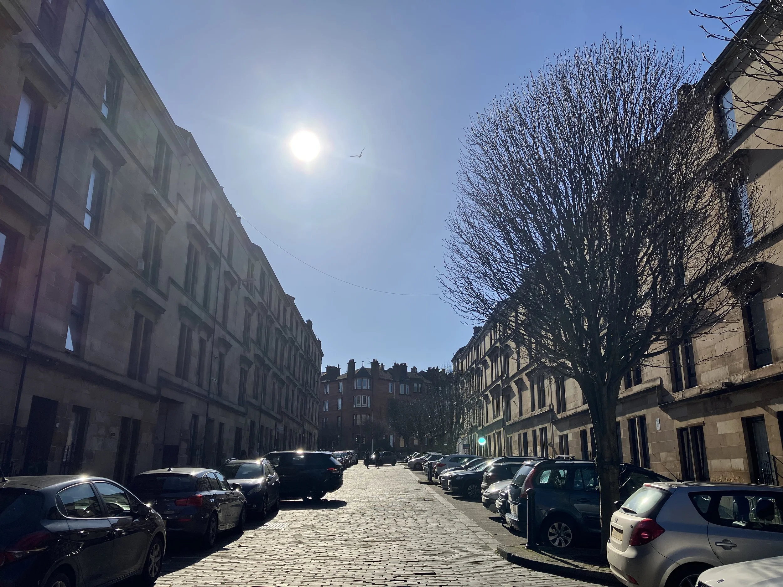A city street scene with parked cars along the sides, tall buildings with windows, a clear blue sky with the sun shining, and a bird flying in the sky.