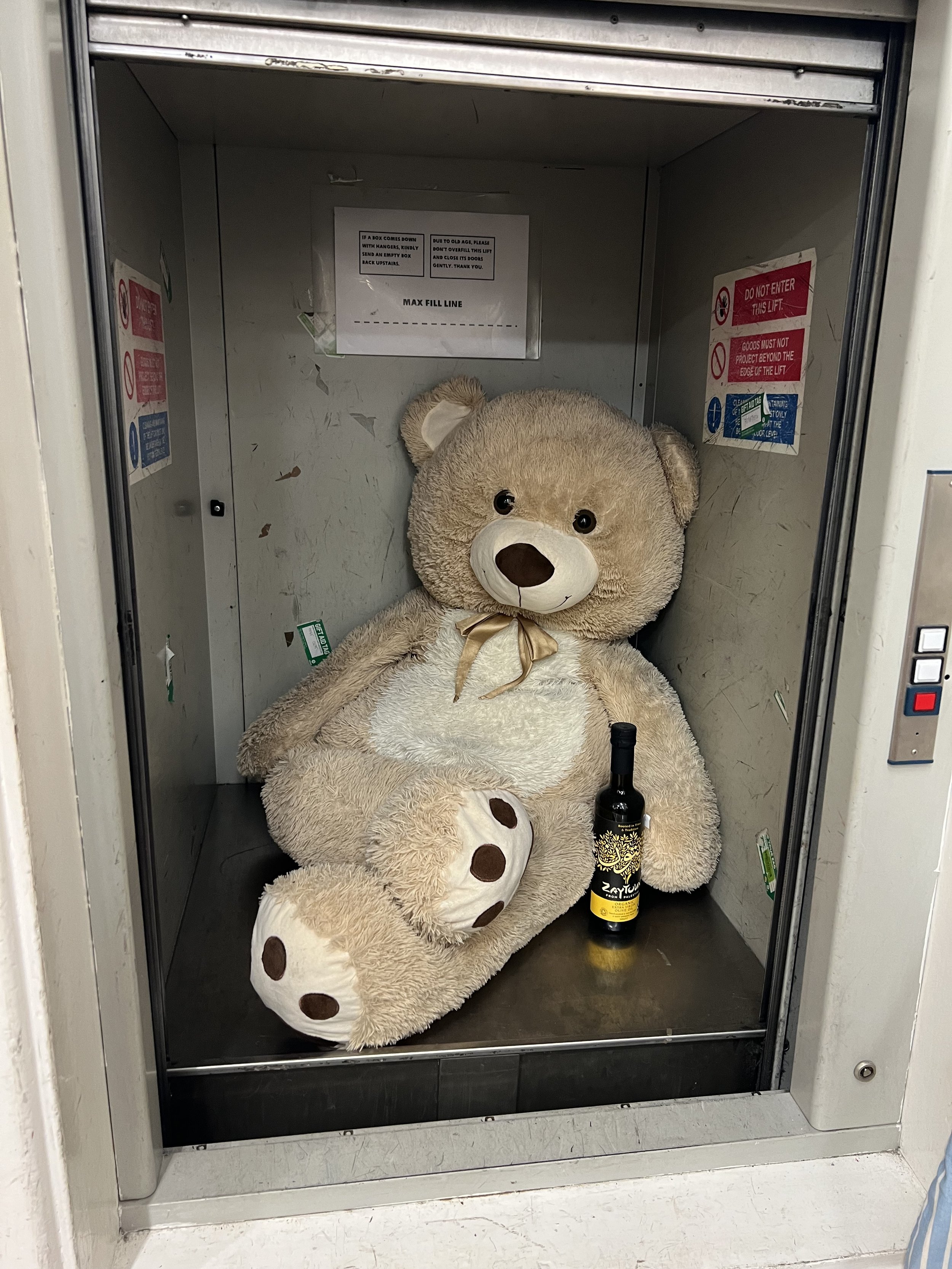 Inside an elevator, a large teddy bear with beige fur and dark eyes, some stickers on the walls, a bottle of Zay root beer on the floor, and a sign on the back wall.