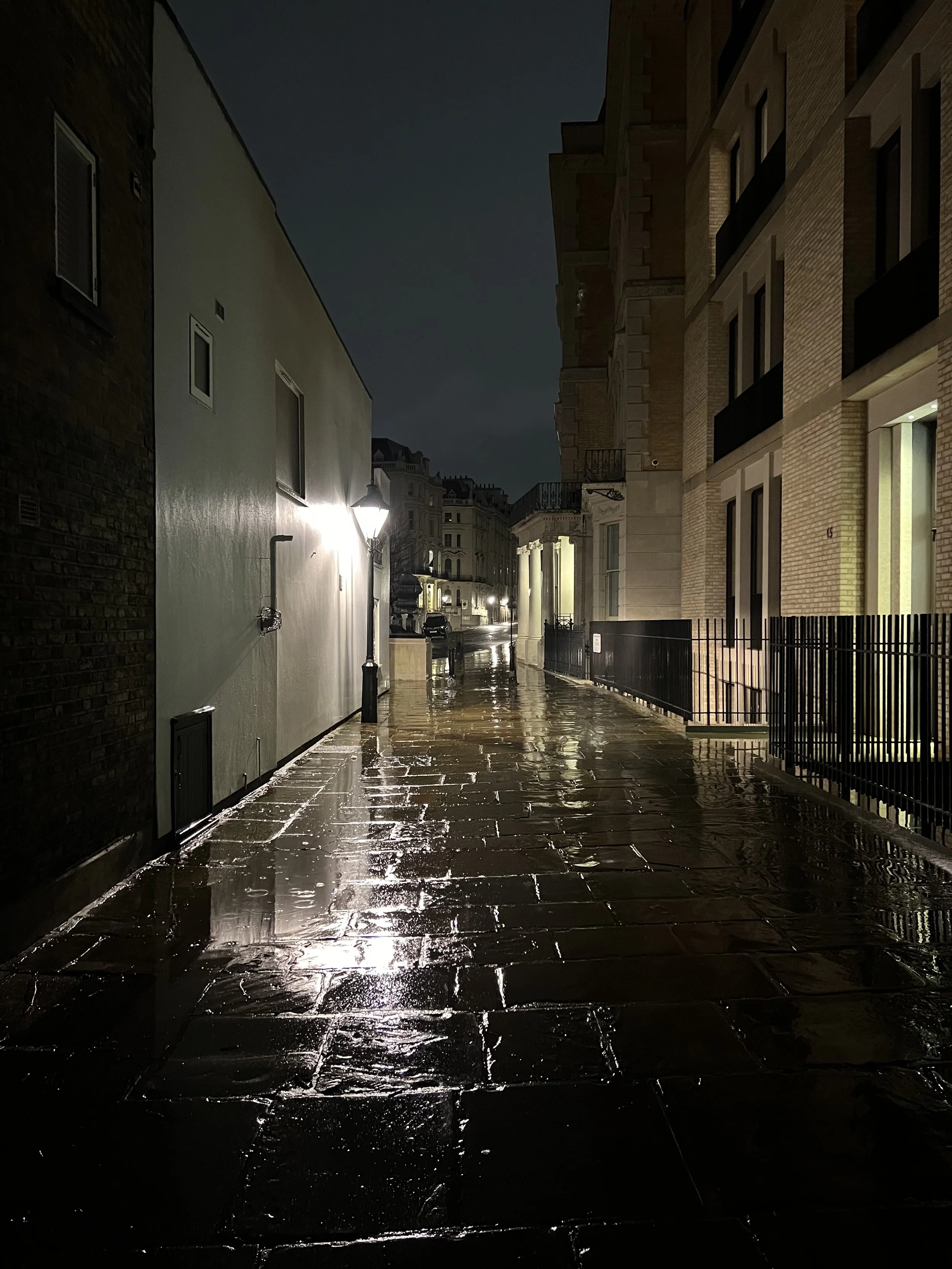A wet city street at night illuminated by streetlights. The street is lined by residential buildings with a black metal fence on one side, and the pavement reflects the lights from the lamps, with a few cars parked further down the street.