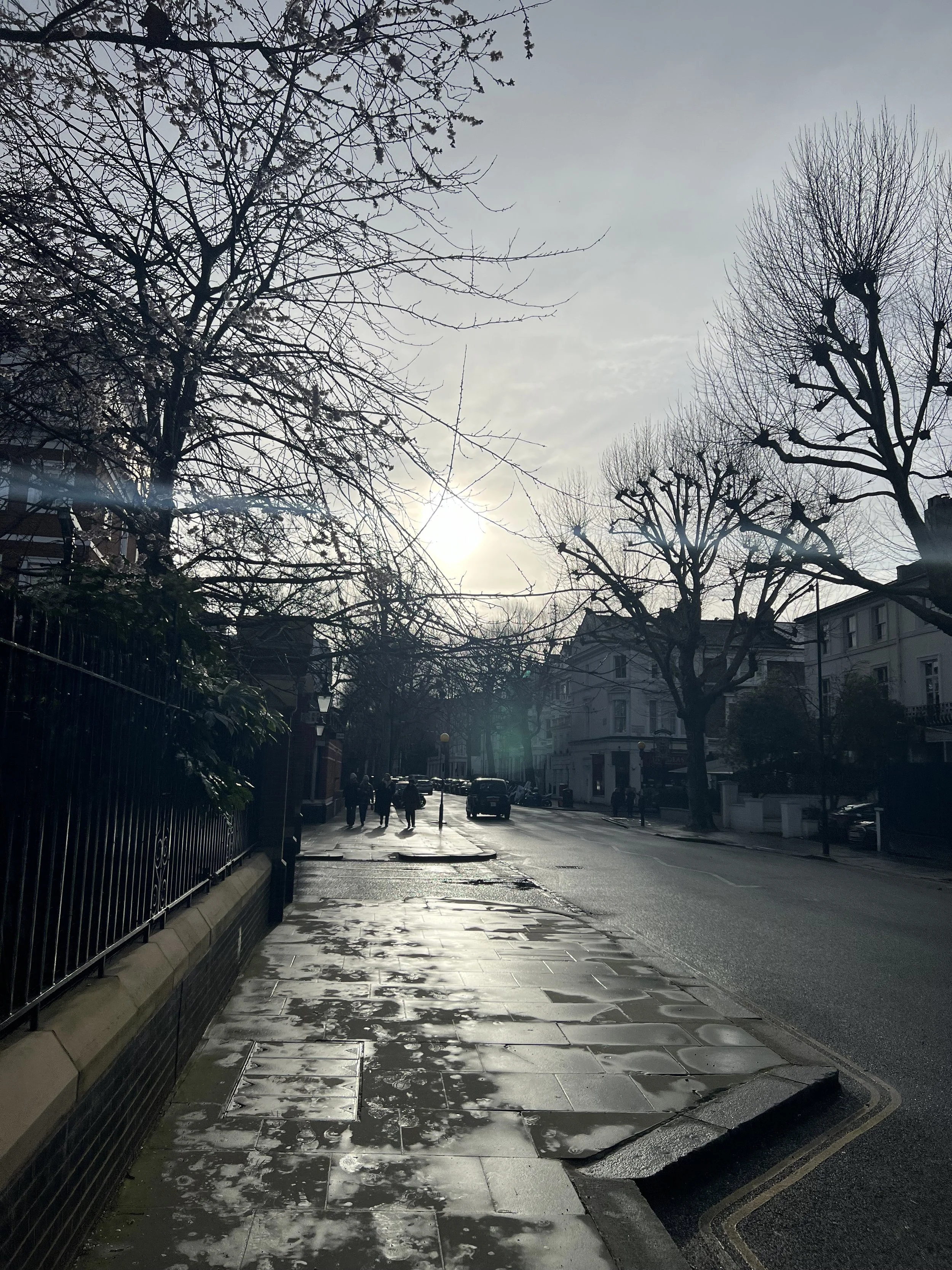 A street scene with leafless trees lining the sidewalk, a few pedestrians walking, and parked cars along the street. The sky is overcast with the sun partially visible through the clouds, casting a reflective glow on the wet pavement.