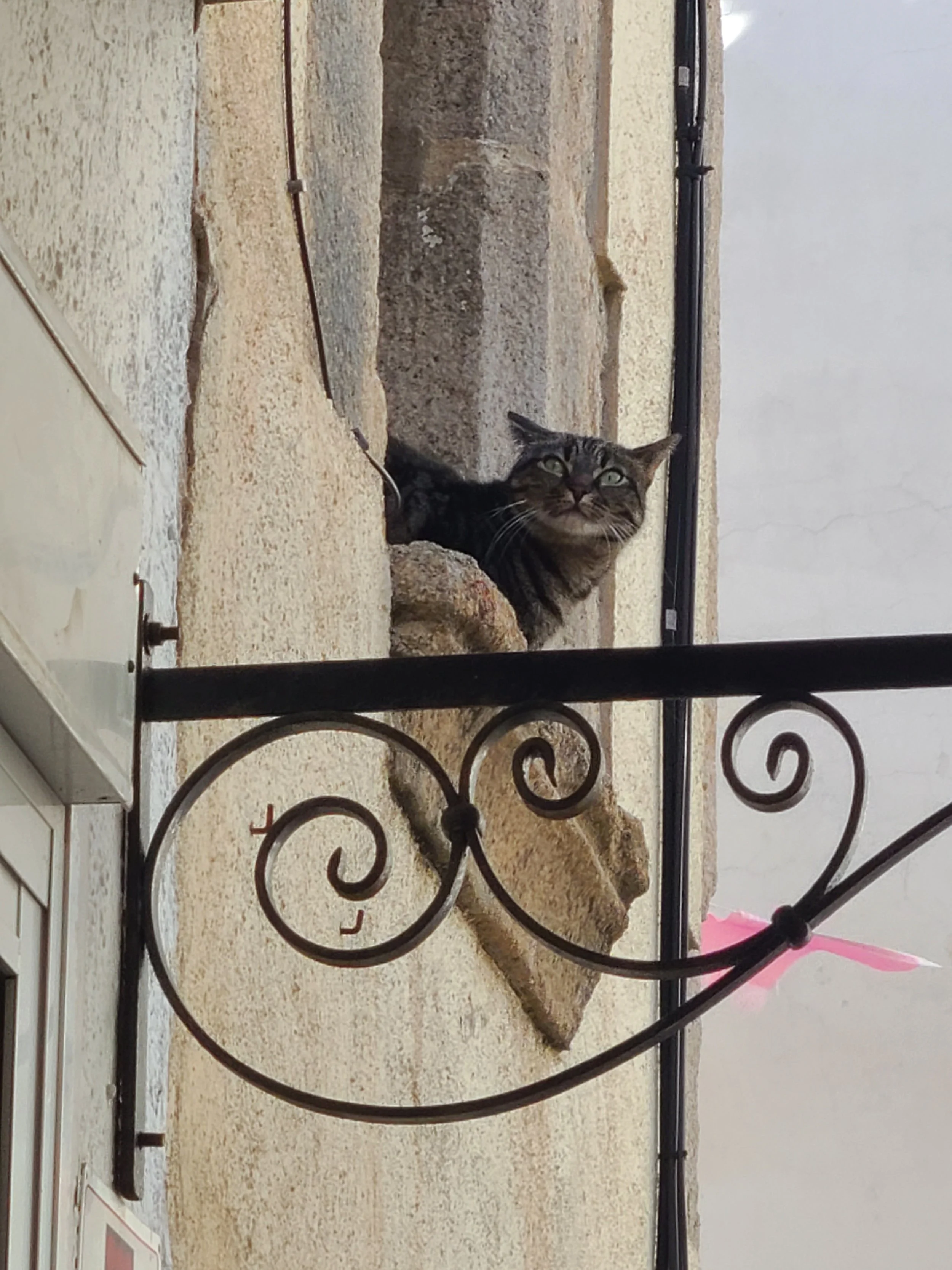 A tabby cat with green eyes and a pink nose peeking through a decorative wrought iron fence. The background shows a stone wall and a brick floor.