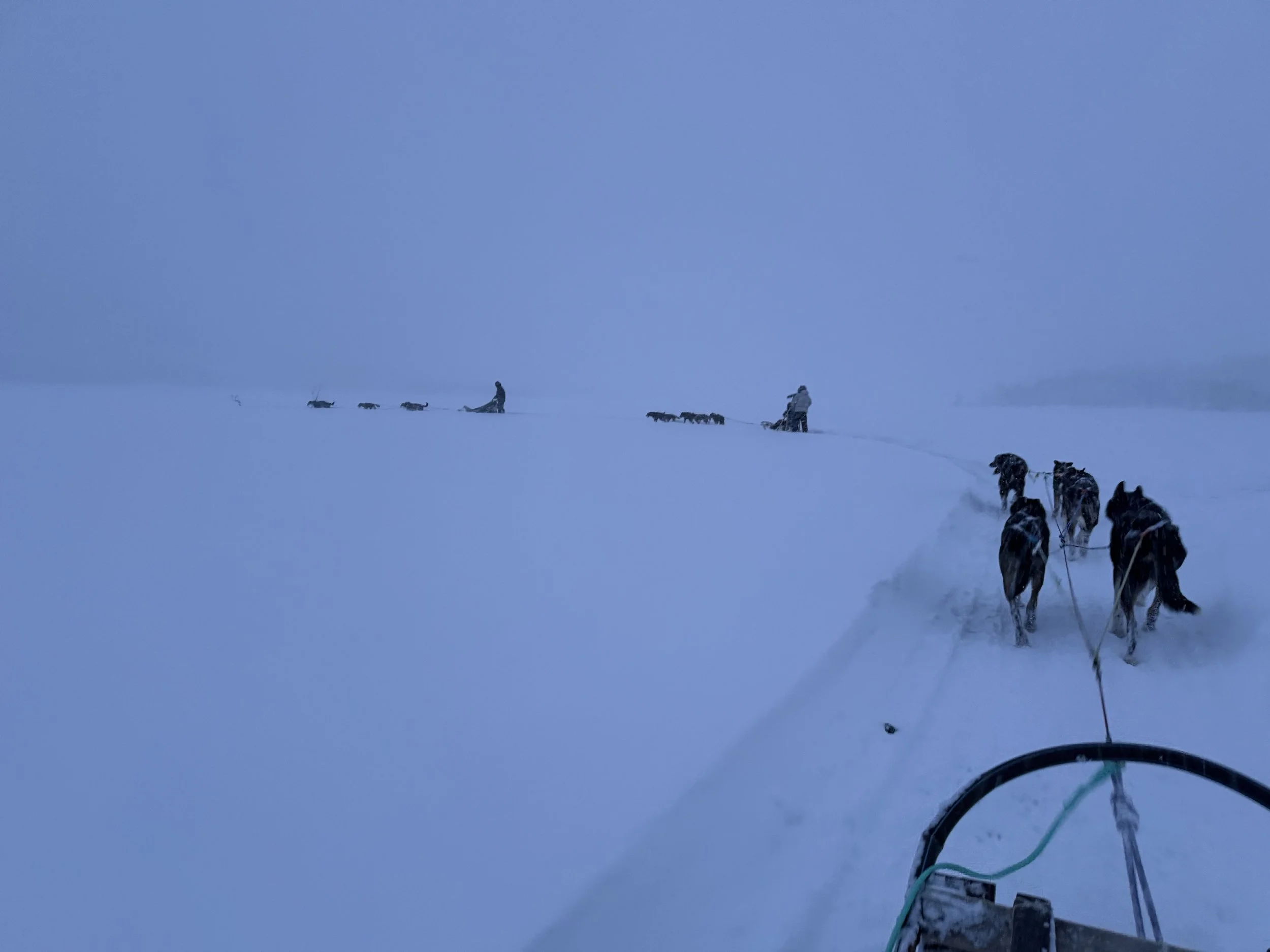Two people dog sledding across snow-covered terrain with multiple dogs pulling the sled, under a cloudy sky.