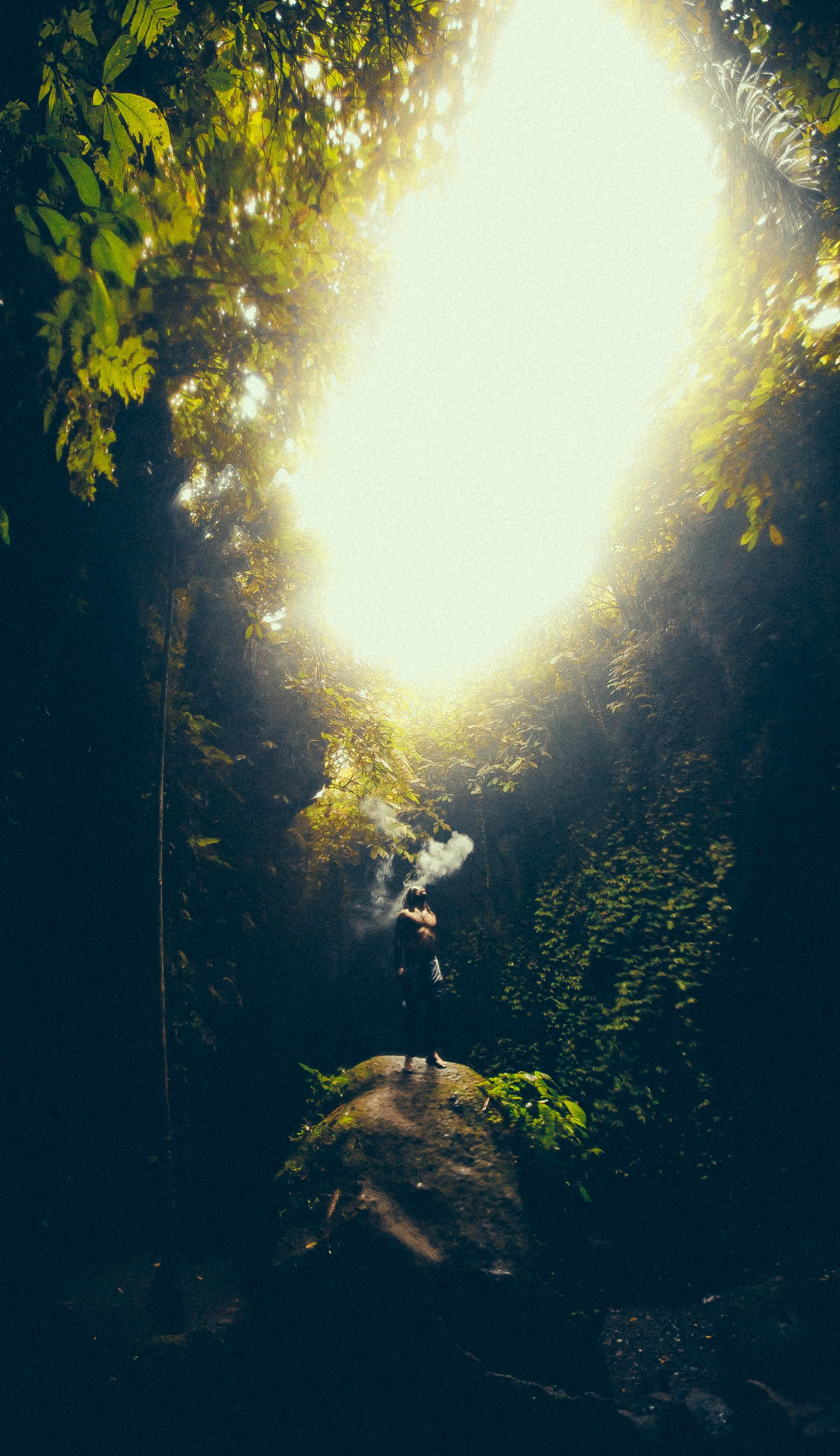 TROPO SHOOTS BALI-33.jpg