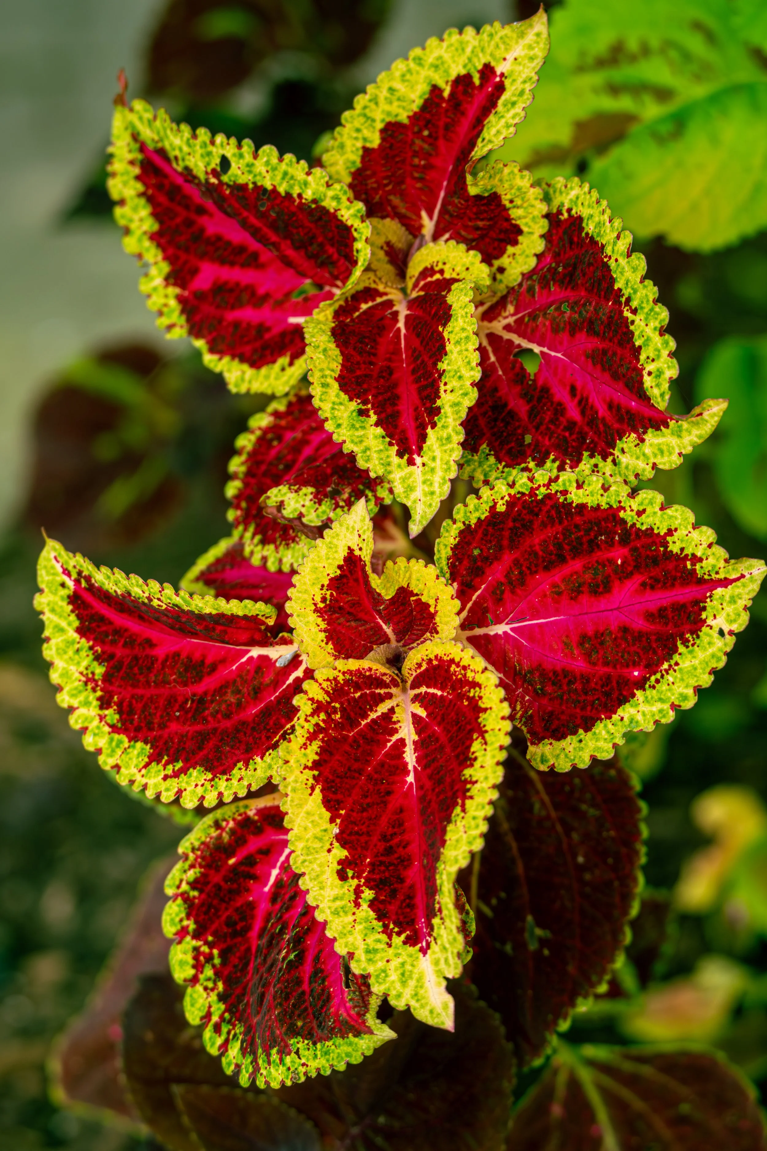 DSC05124.jpg
