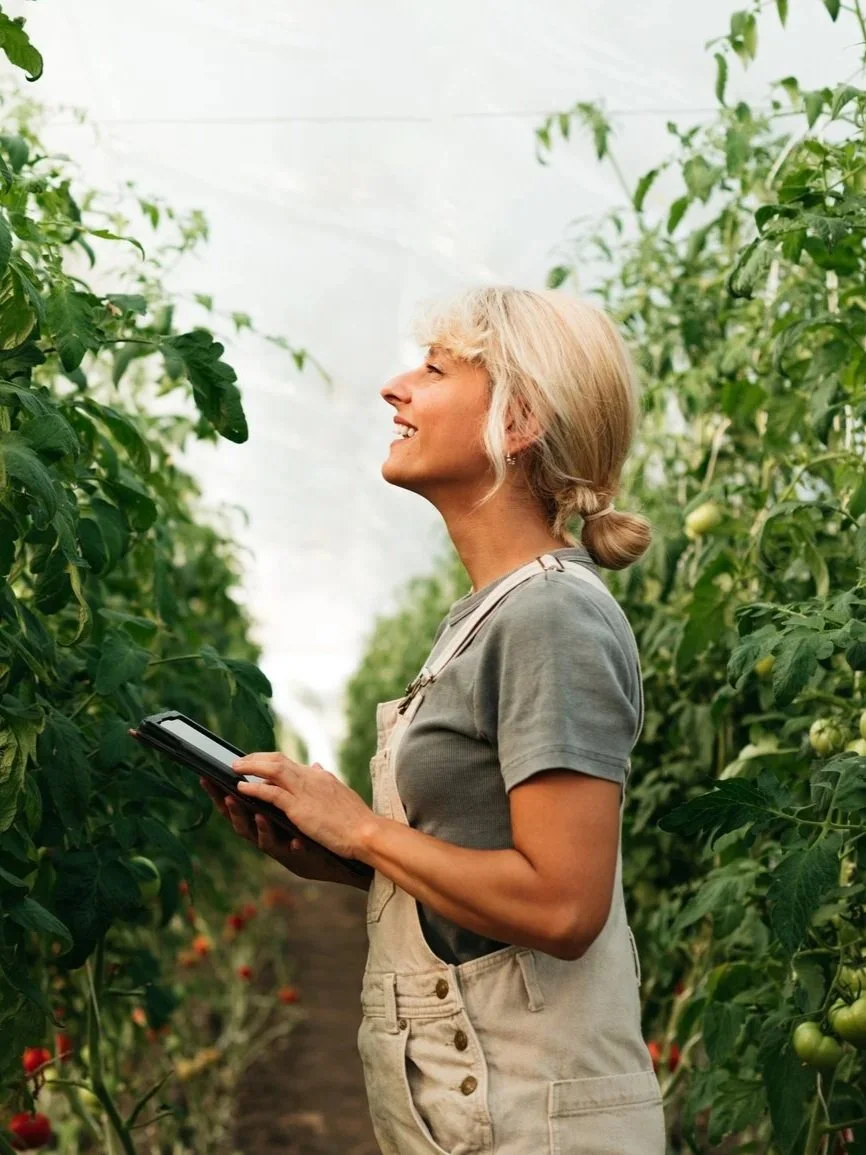 Young woman working in greenhouse holding tablet