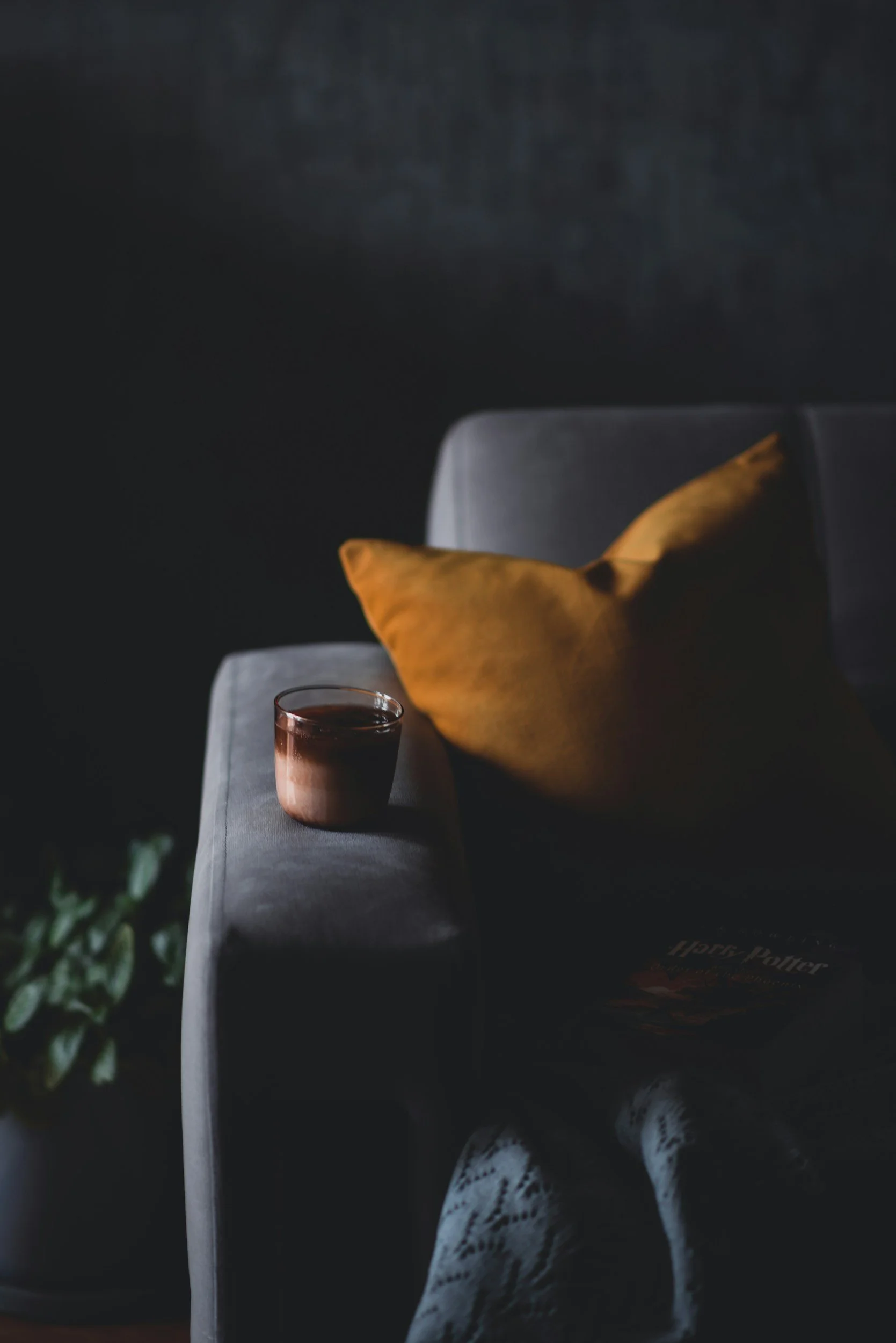 A dark gray sofa with a yellow pillow on it, a glass of dark beverage on the armrest, and a partially visible Harry Potter book near the bottom of the image.