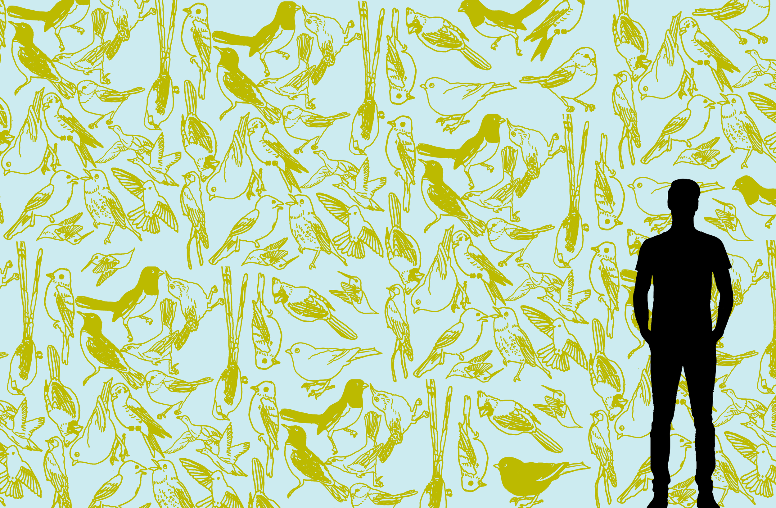 Silhouette standing in front of a large wall covered in yellow illustrations of various bird drawings on a light blue background.
