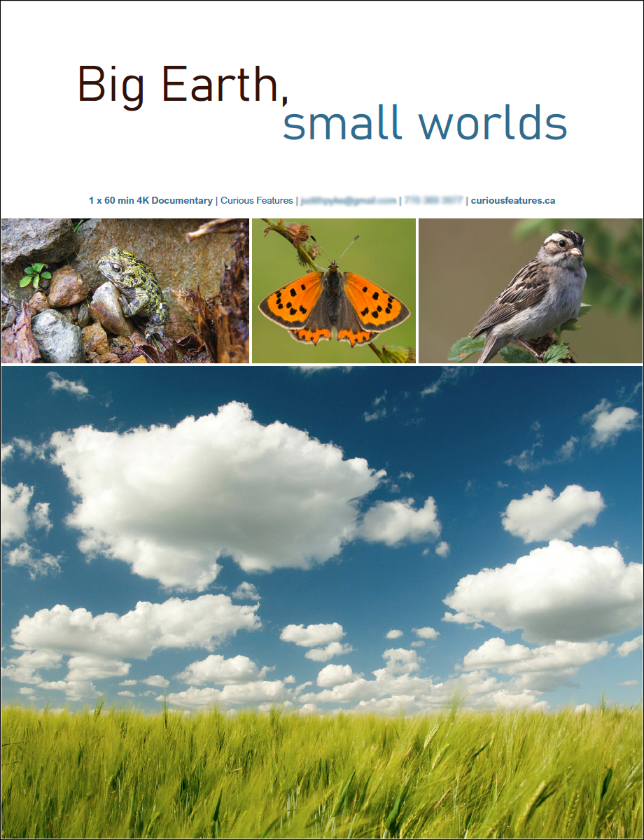 Cover of a booklet about the documentary titled 'Big Earth, small worlds' showing images of a frog, a butterfly, a bird, and a large field under a sky with clouds.