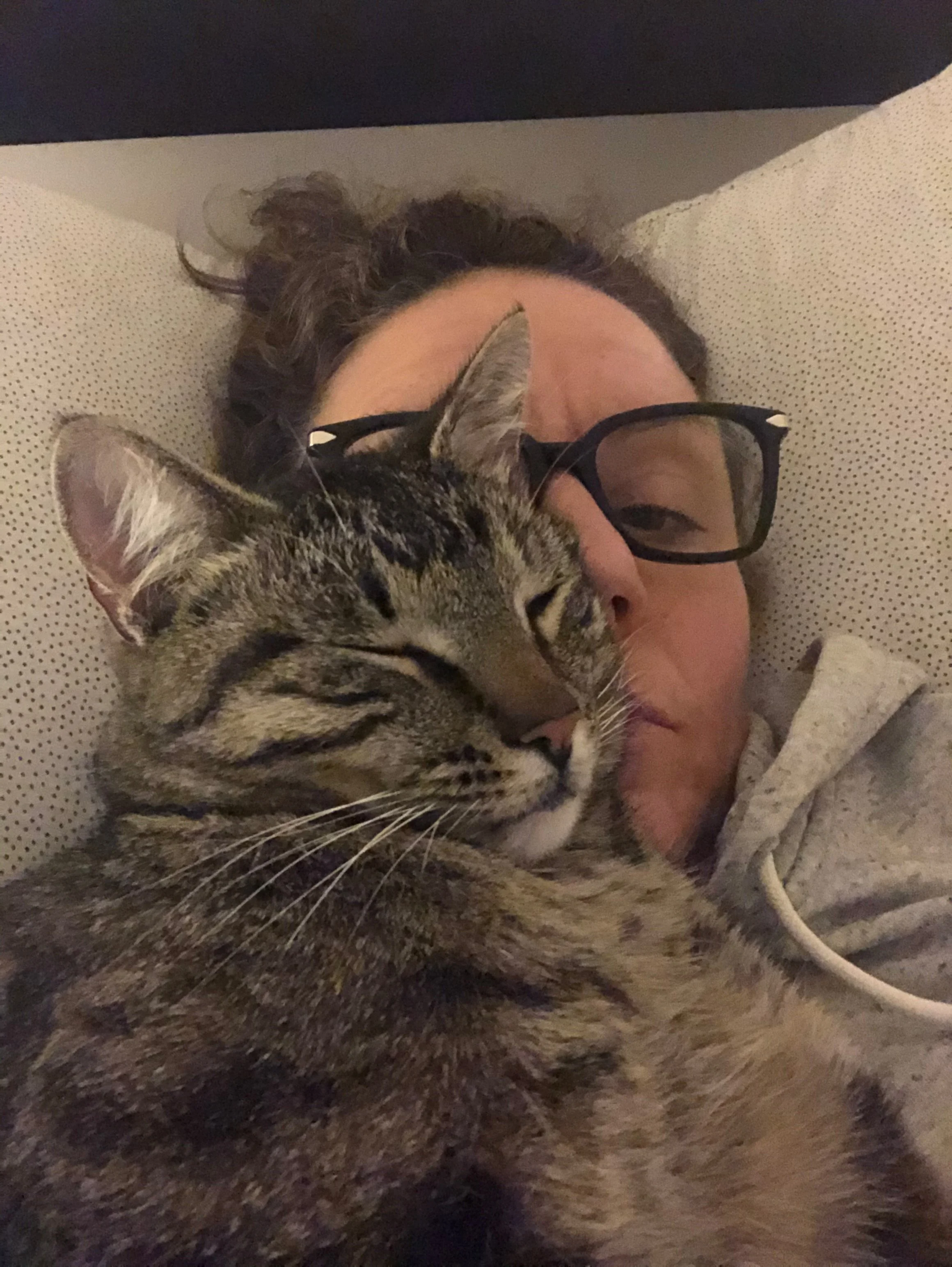 A woman lying in bed with a tabby cat resting on her face, wearing glasses, with her eyes closed.