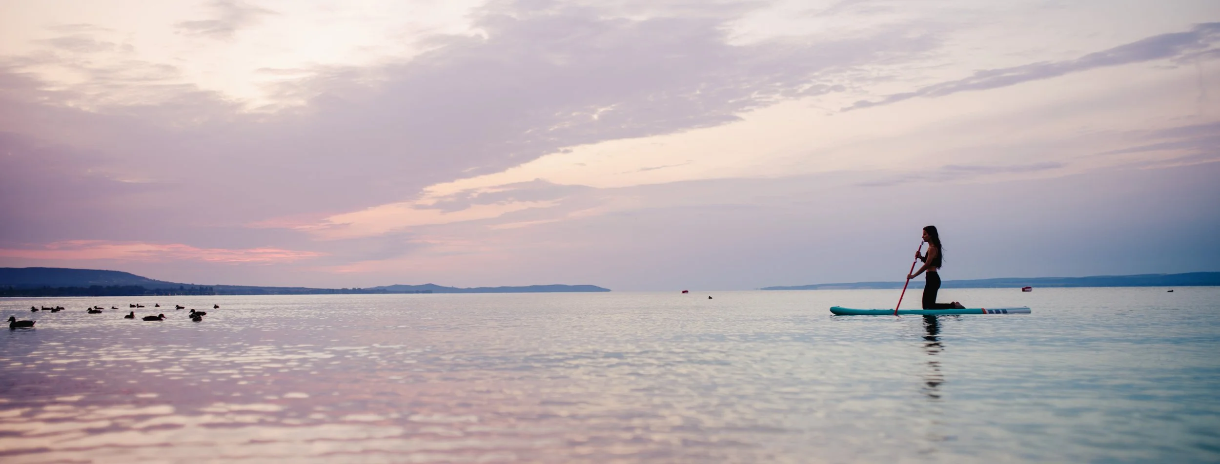A woman is standing on a paddleboard on a calm body of water, holding a paddle in a kneeling position, with a flock of ducks swimming nearby during sunset or sunrise.
