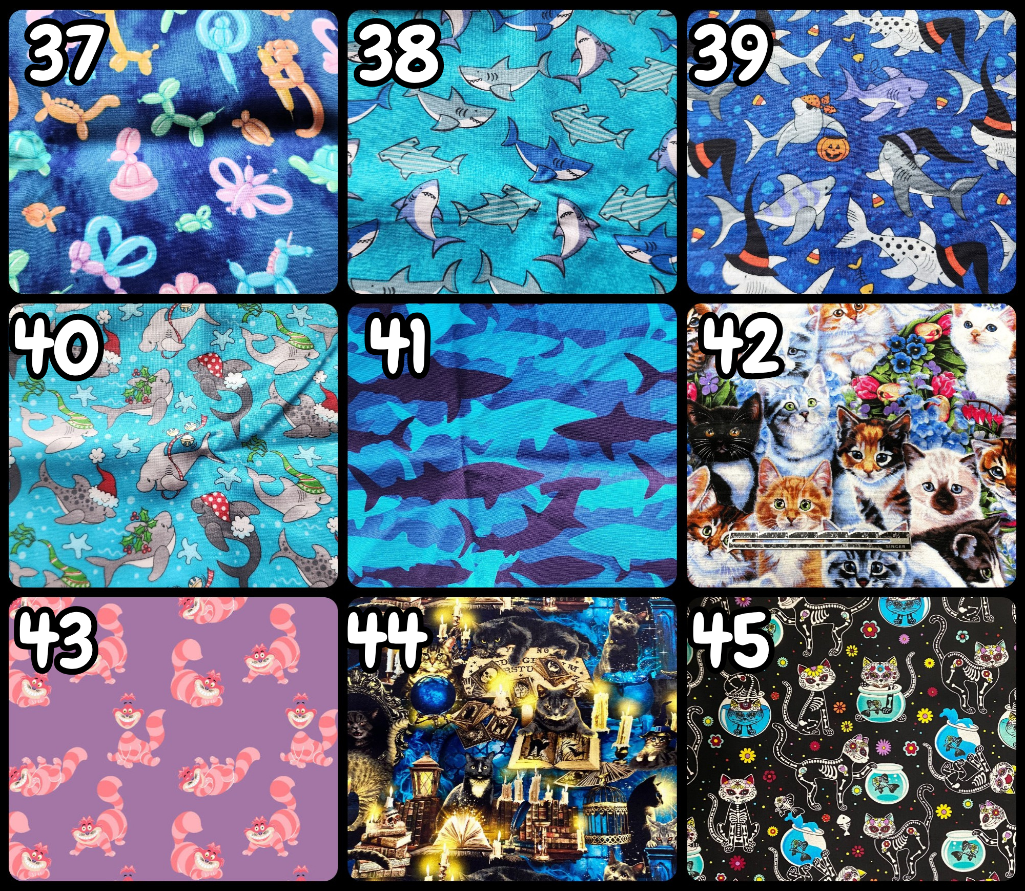 5.png