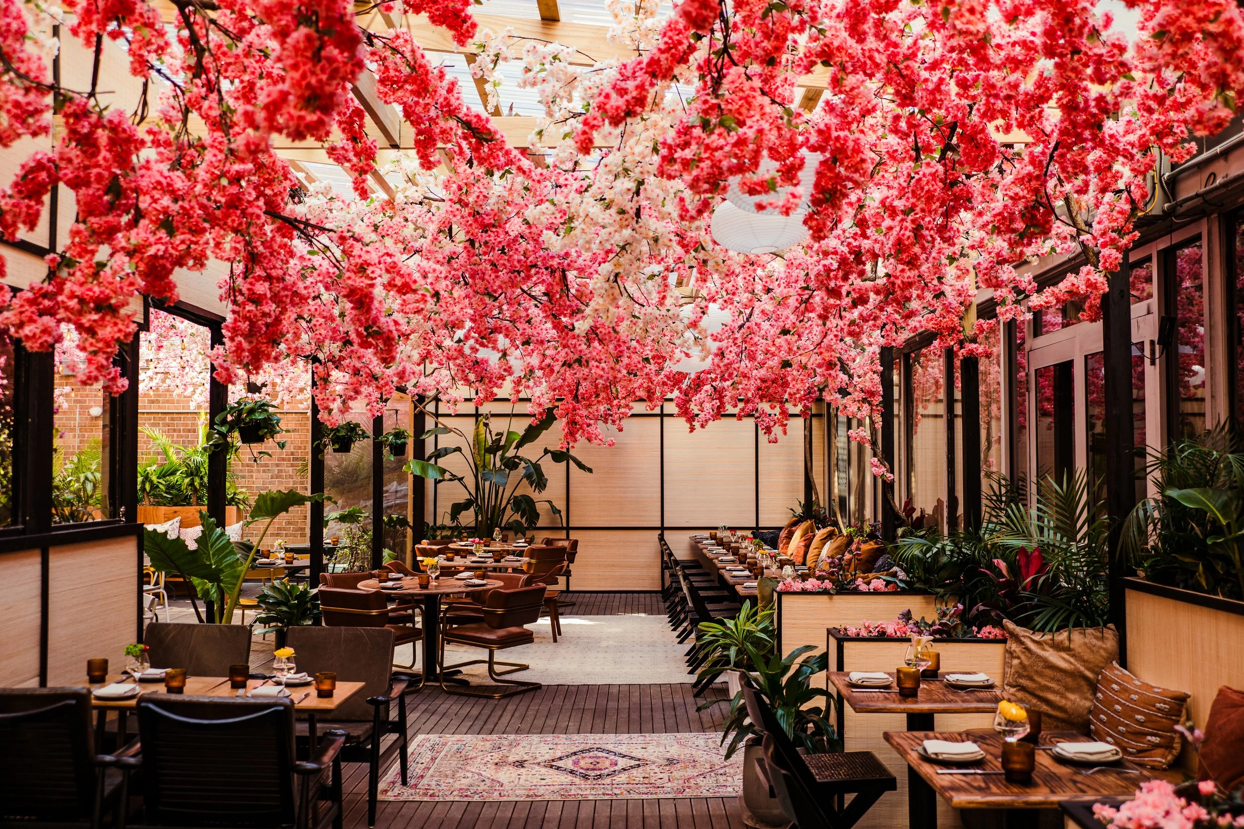 mercymecherryblossomandnewmenu-256.jpg