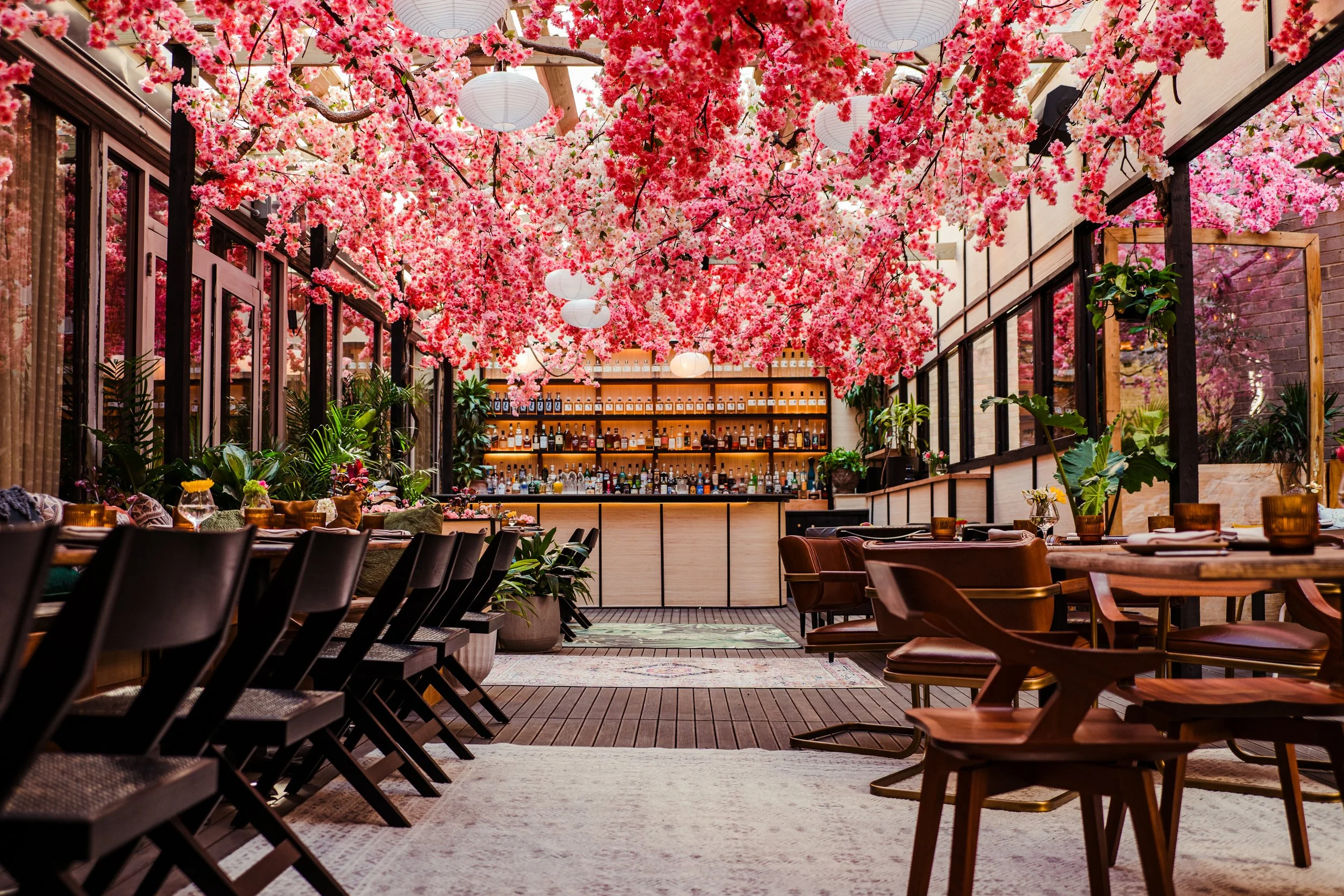 mercymecherryblossomandnewmenu-304.jpg