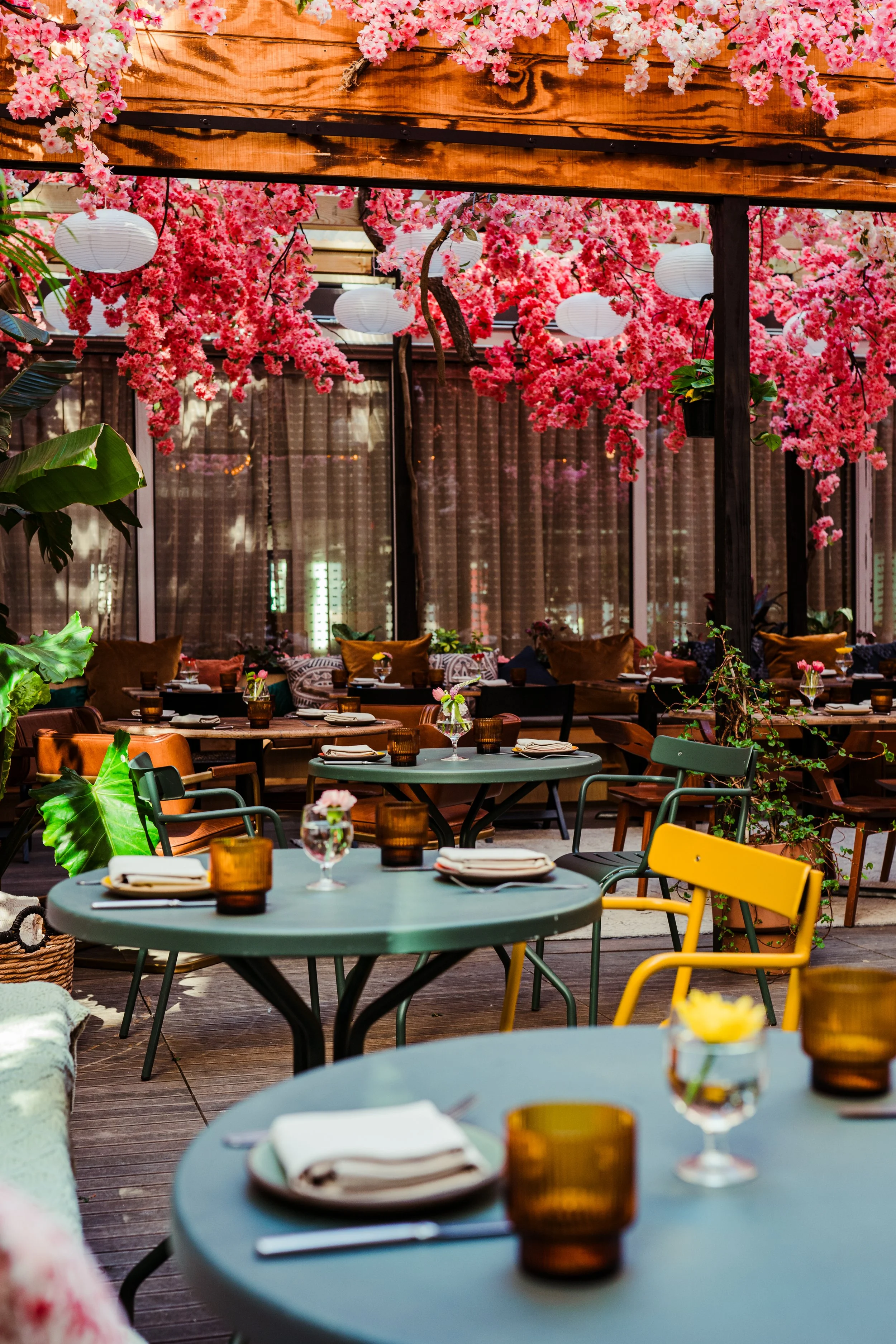 mercymecherryblossomandnewmenu-290.jpg