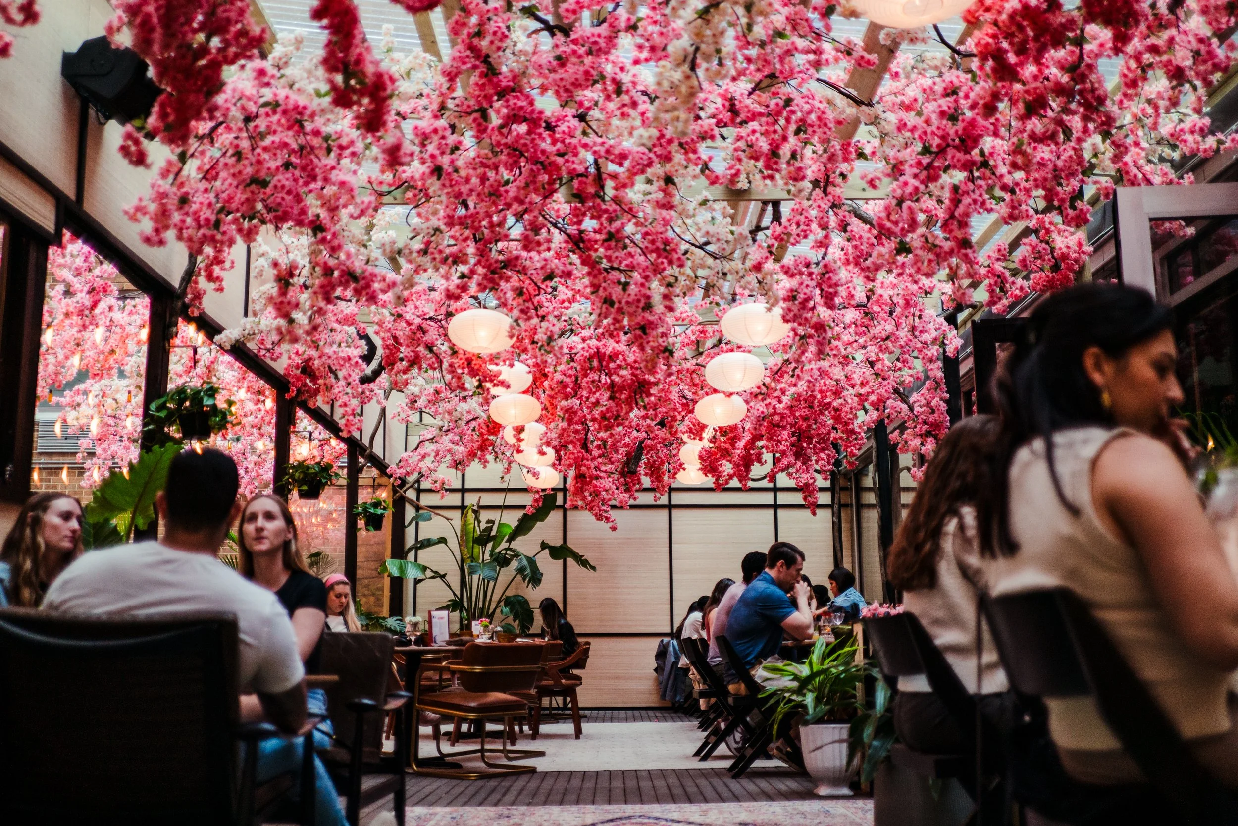 MercyMeSpringCocktailsandCherryDecor-165.jpg