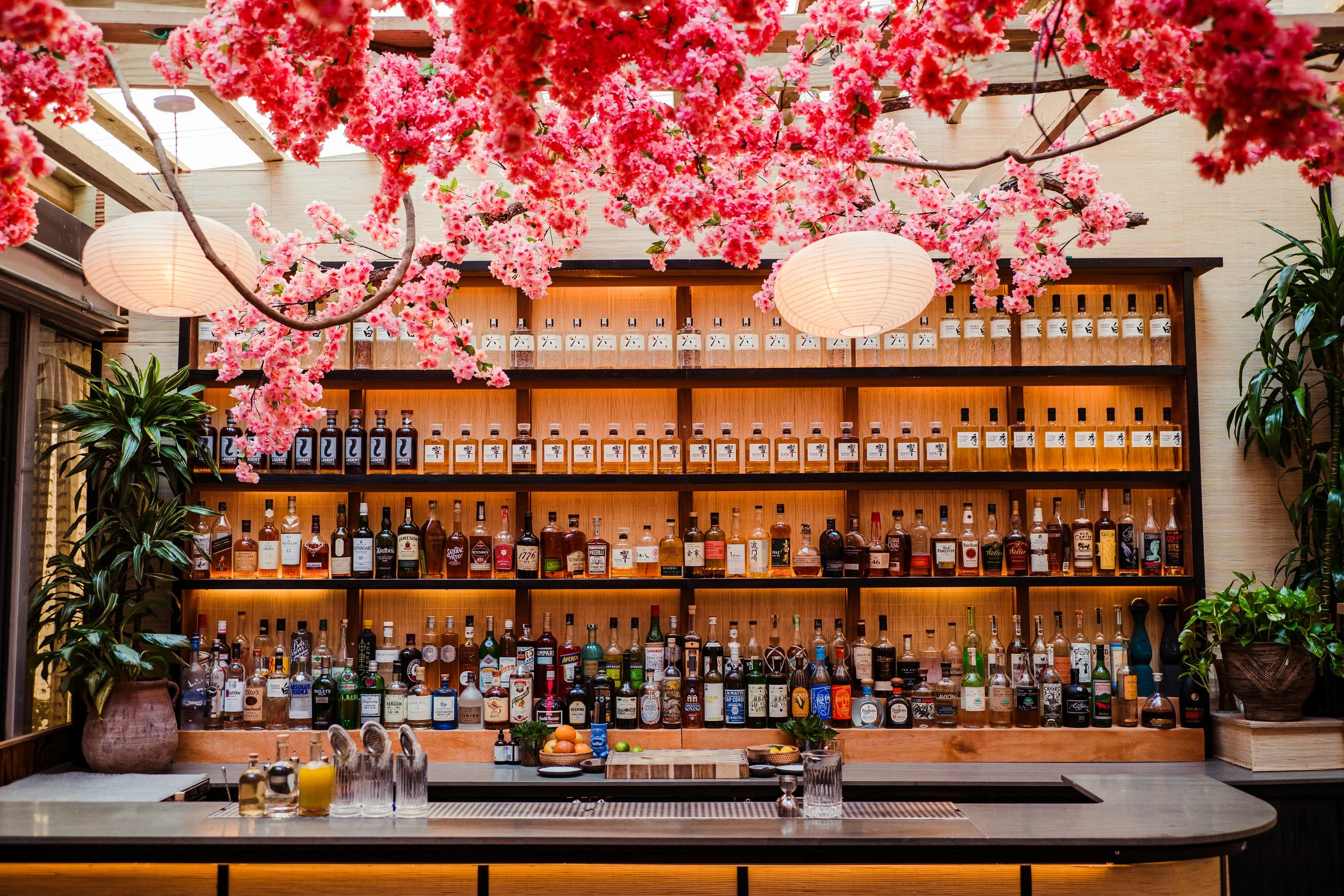 mercymecherryblossomandnewmenu-308.jpg