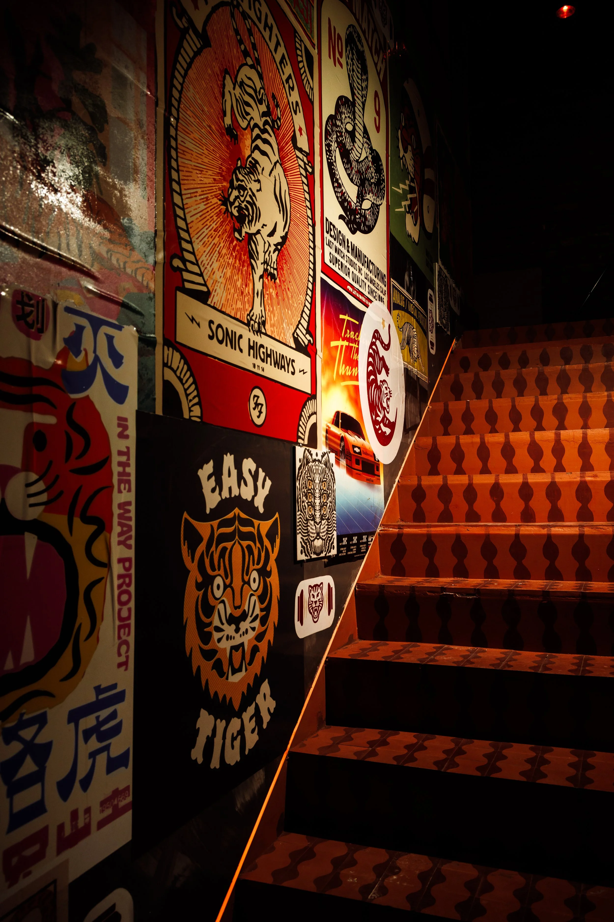 tigres_073026_sm_009.JPG