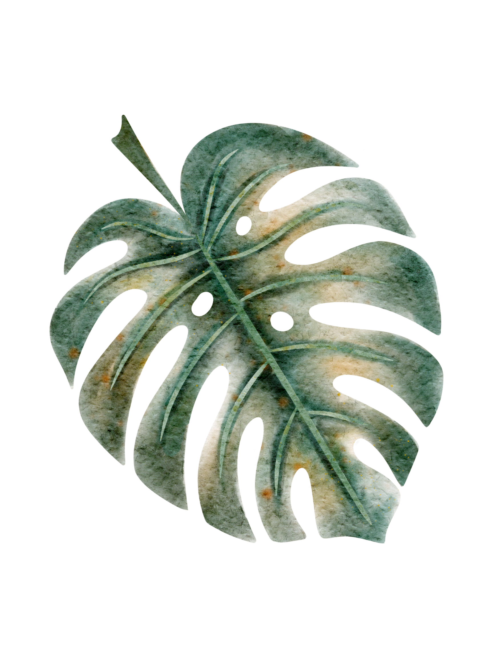 A watercolor painting of a Monstera leaf with green and beige tones.