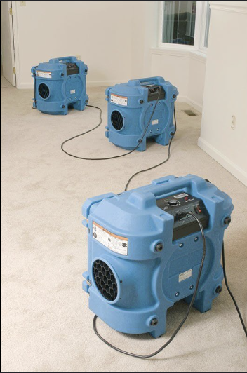 Three blue portable carpet cleaners on a beige carpet in a room with white walls and windows.