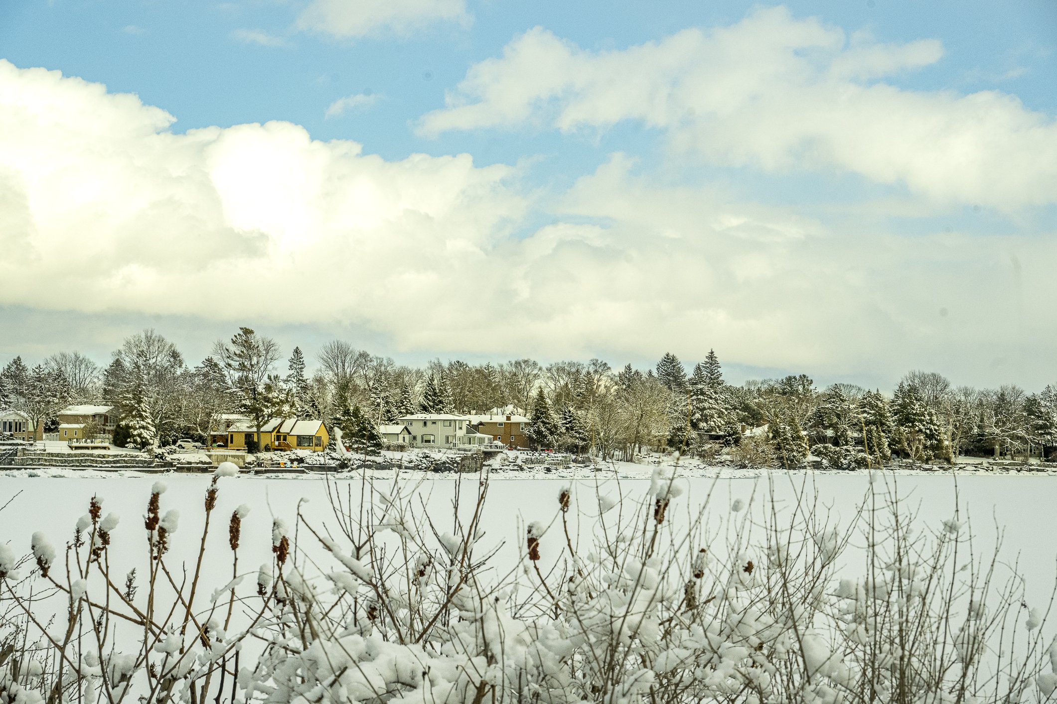 Lake Ontario Joy
