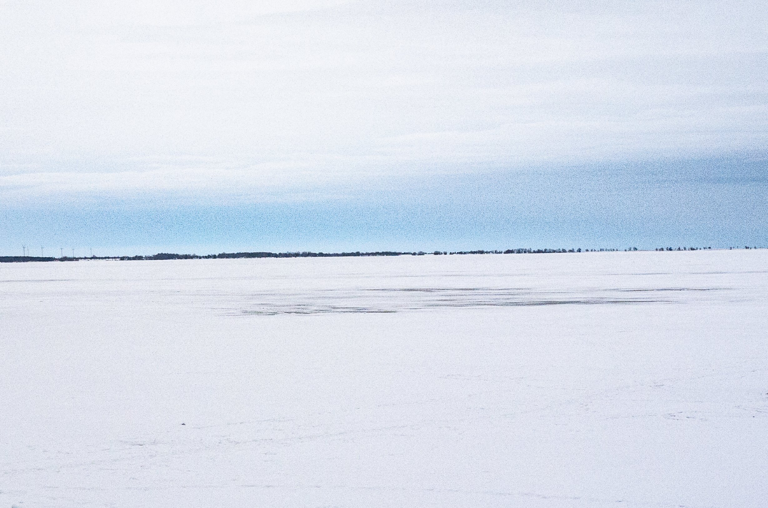 Wolfe Island Snowscape