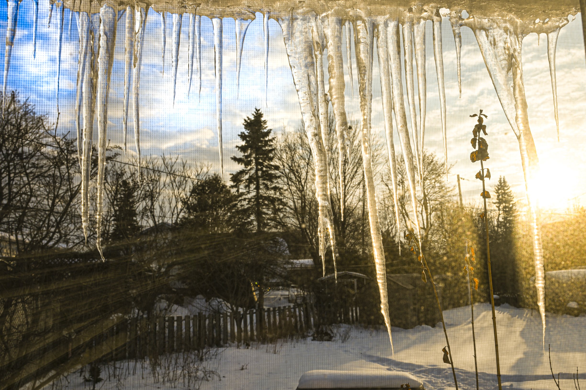 From My Bedroom Window One Morning
