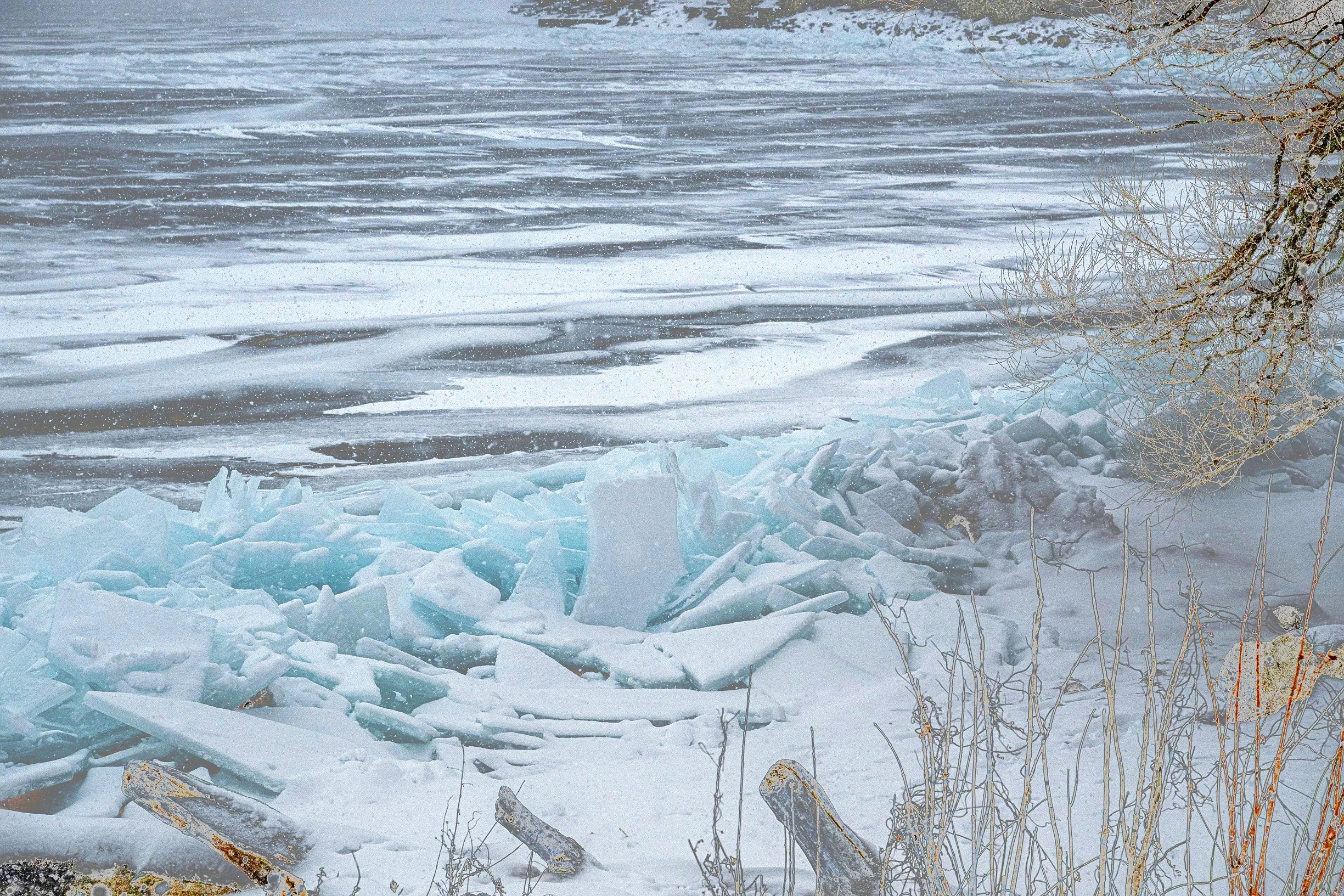Kingston Winter