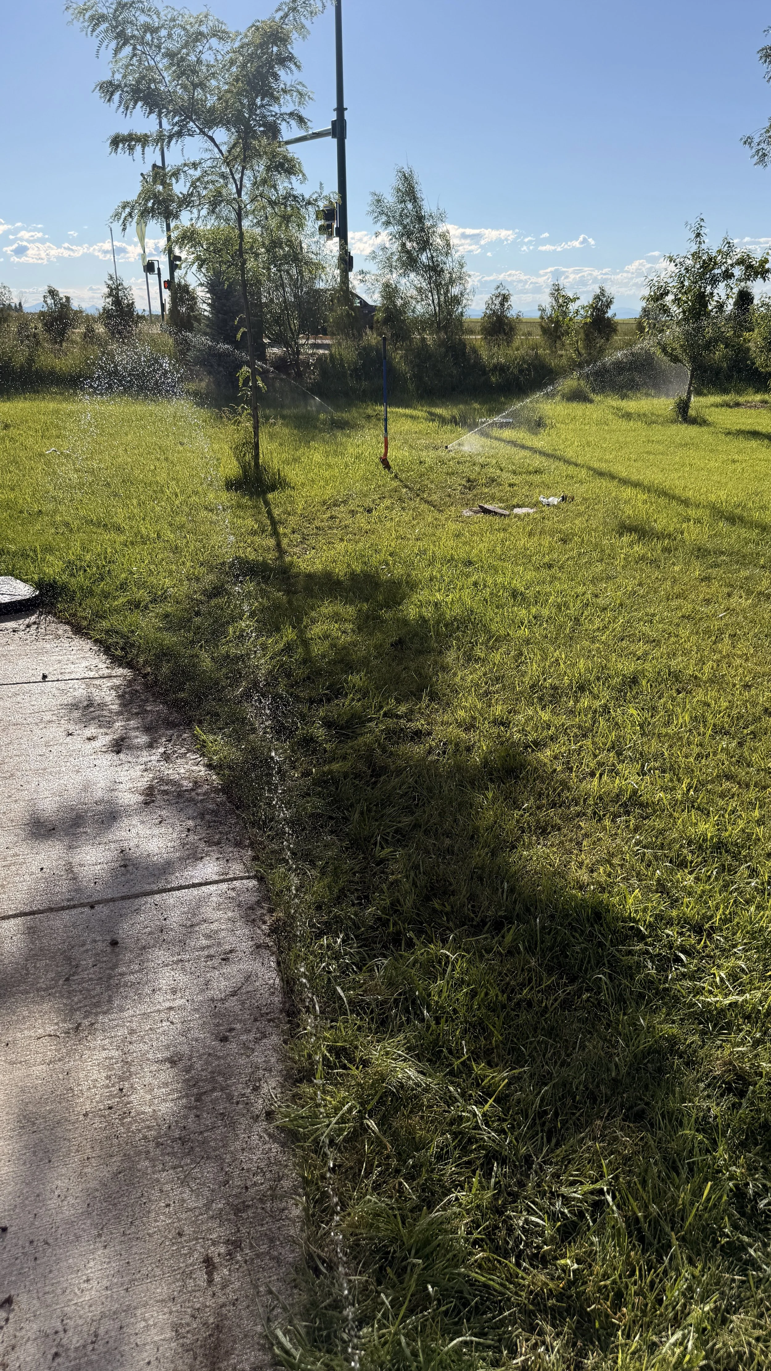 A landscaped lawn being watered by a newly added sprinkler head in bozeman montana