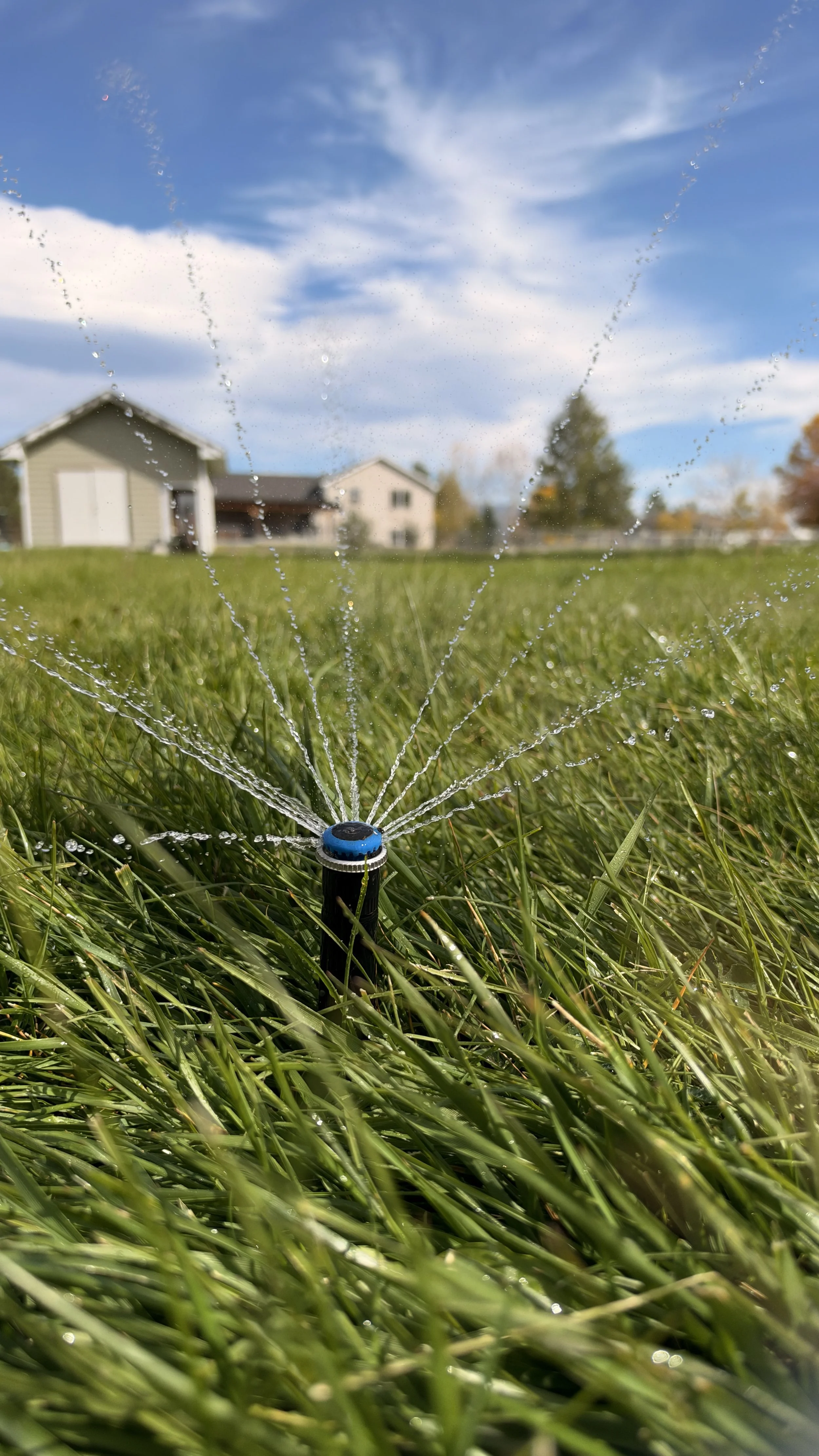 Irrigation Spray Head watering a nice green landscaped yard