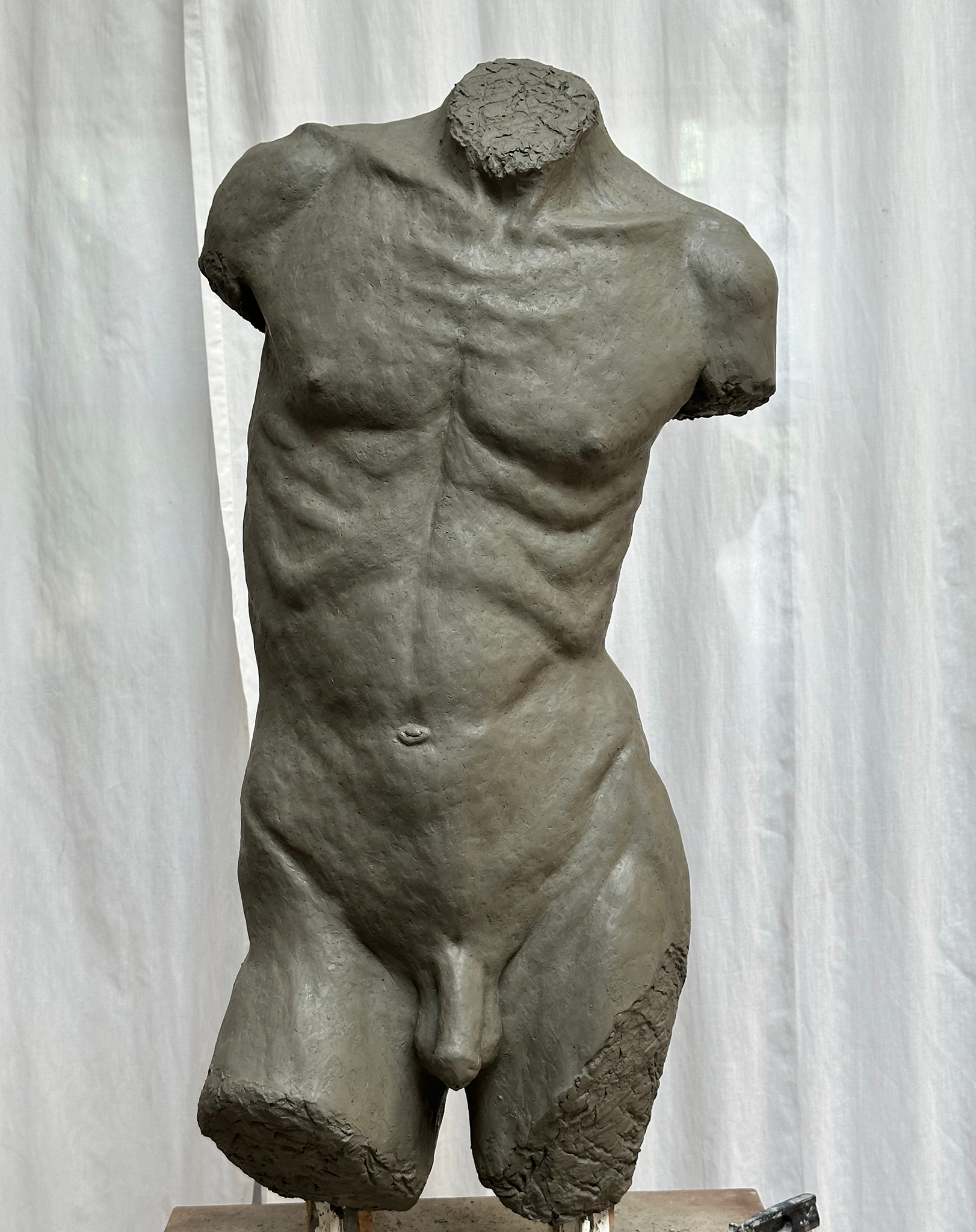 03_torso.png