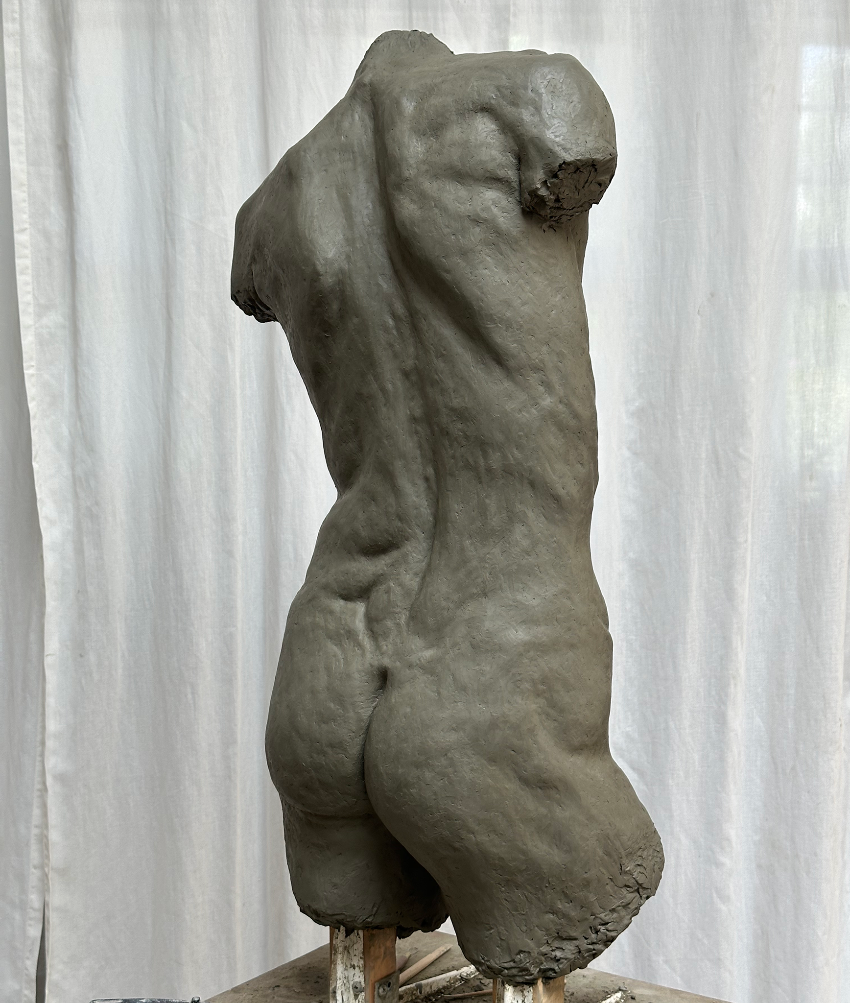 01_torso.png