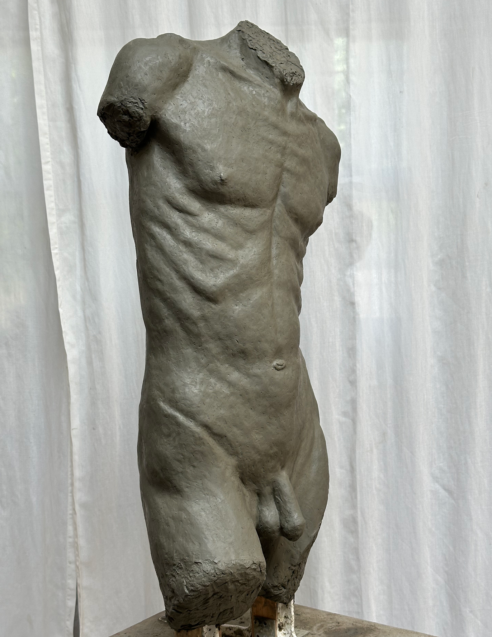 02_torso.png