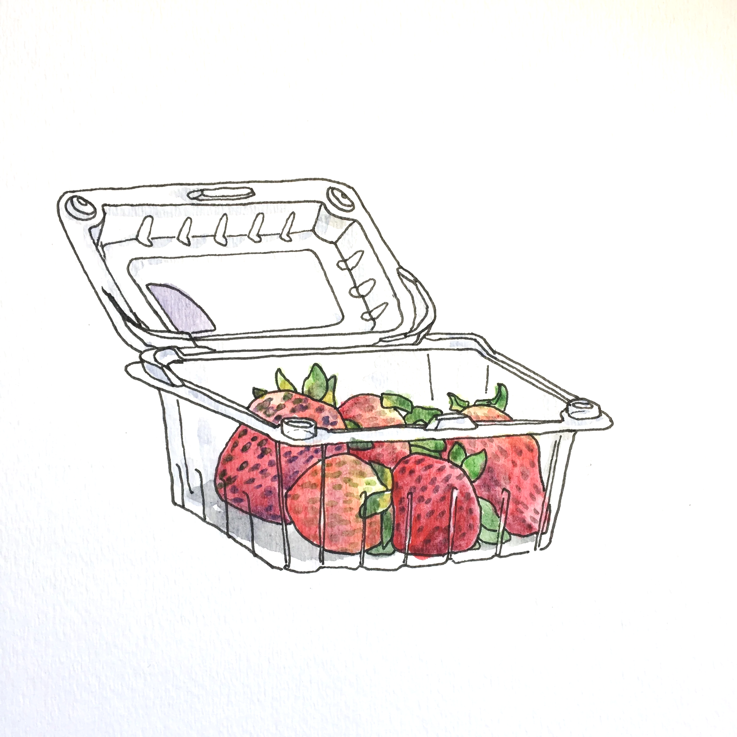 Strawberries 
(2017)