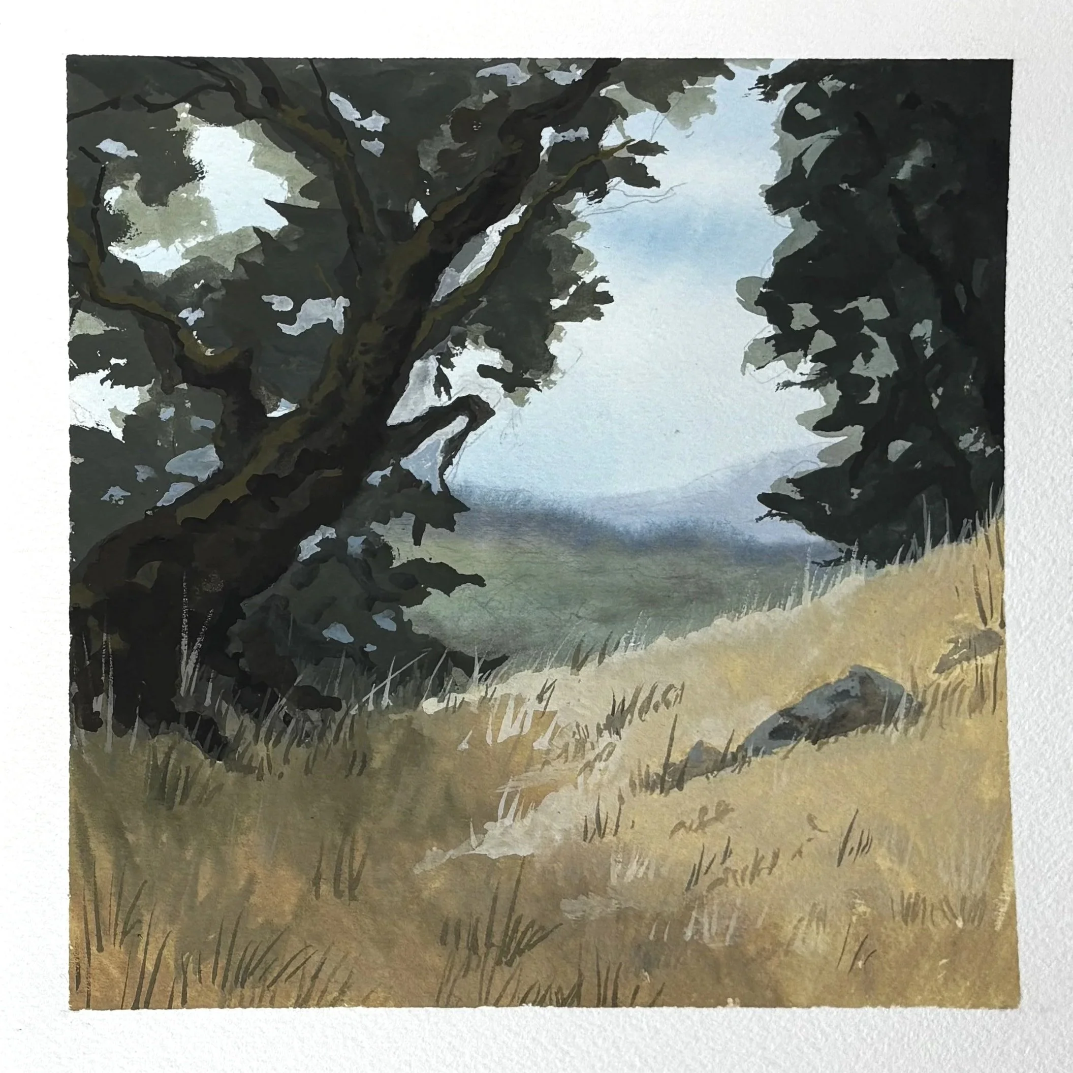 Woodland for Gabe & Emma (2026) 8x8