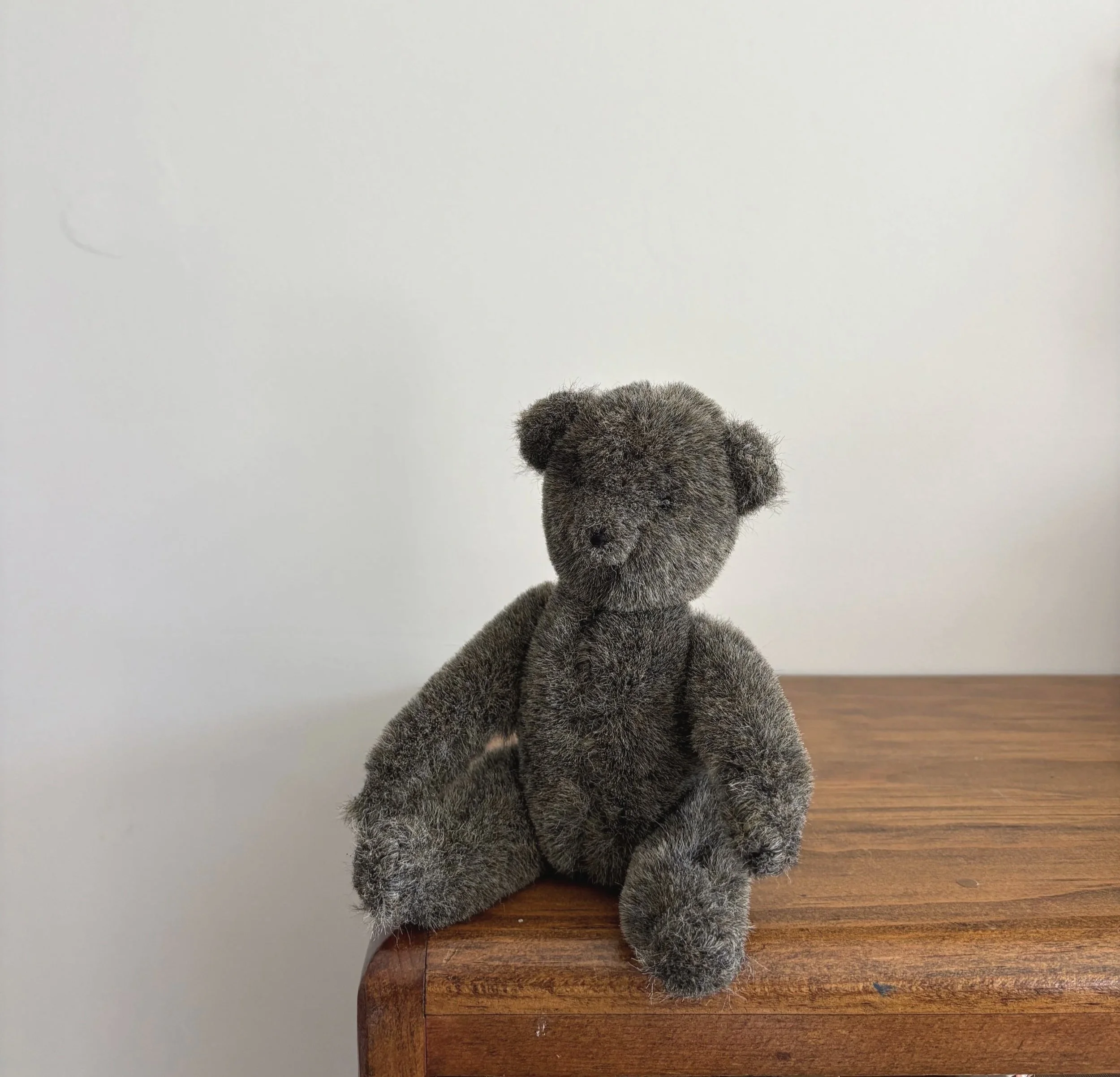 Classic Teddy (2022)