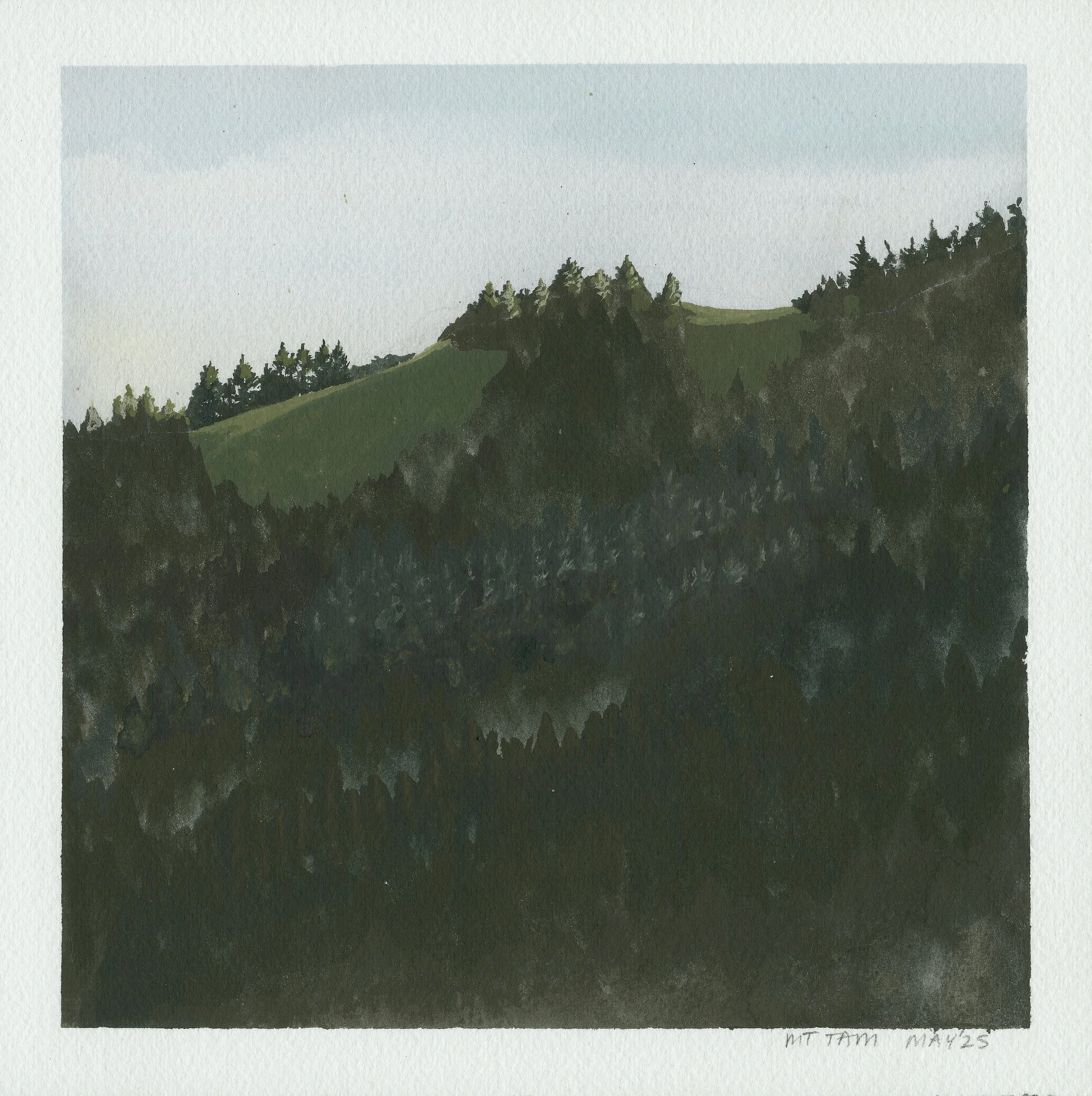 Mt. Tam (2025) 8x8