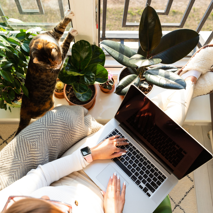 Woman working on a laptop at home beside houseplants, with her cat nearby
