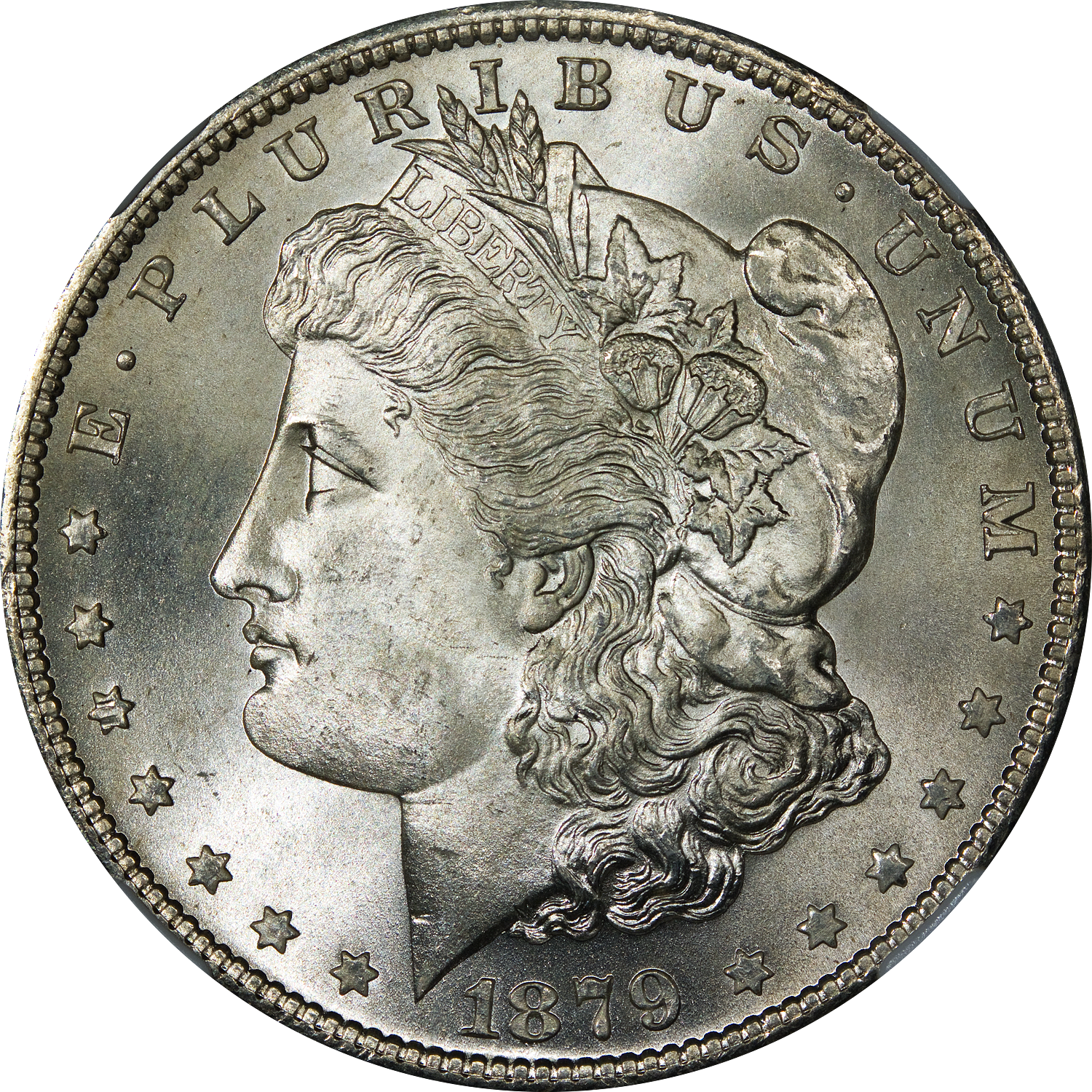 MORGAN SILVER DOLLAR (MIXED DATE)