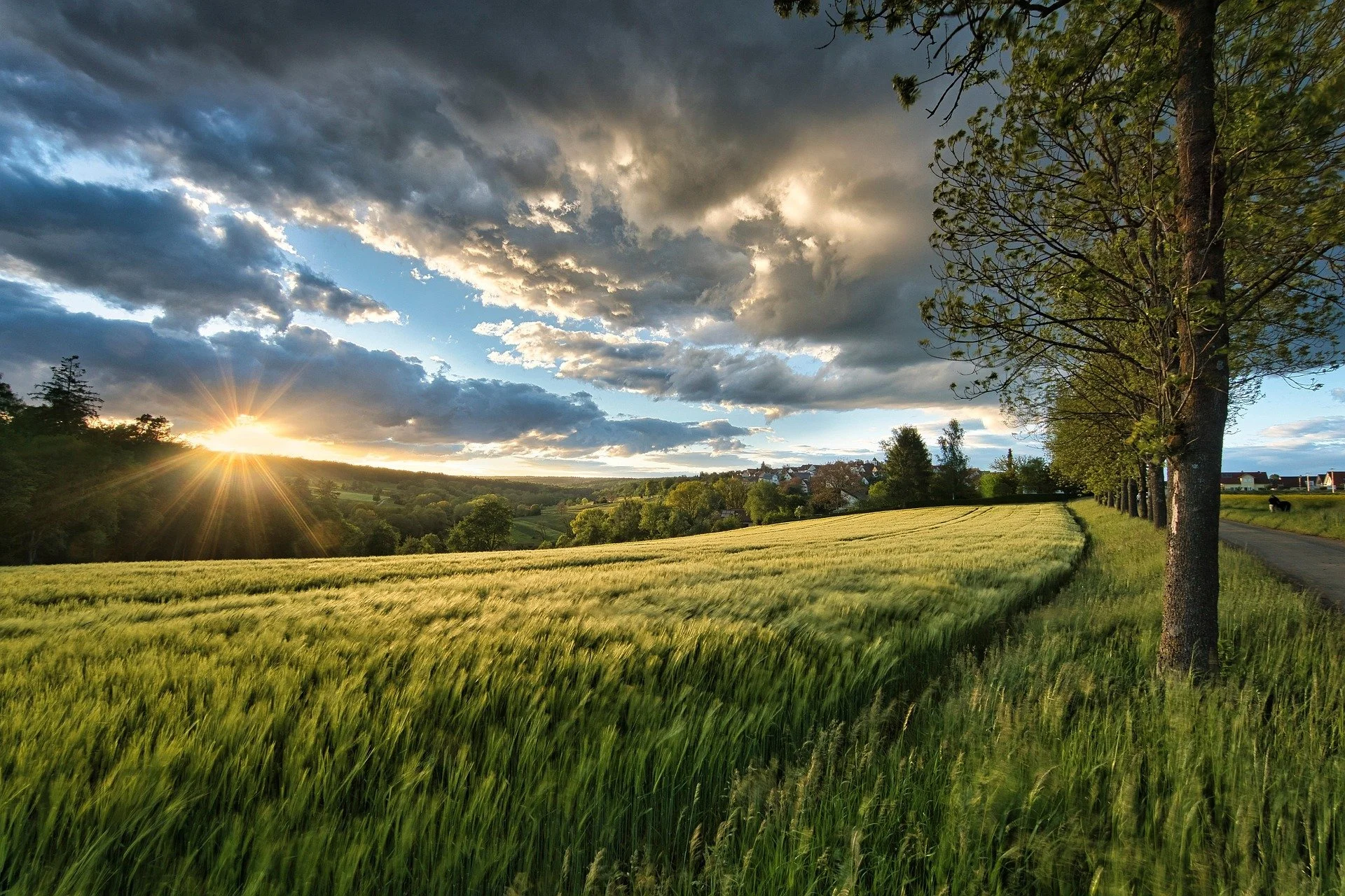 field_nordseher-sunset-6344387_1920.jpg