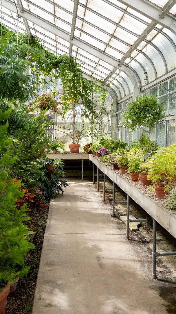 A greenhouse with glass walls and ceiling, containing various potted plants and flowers, with a walkway in the middle. - Taken by Dillon Morby of D Morby Media, a local photographer working in South East Michigan